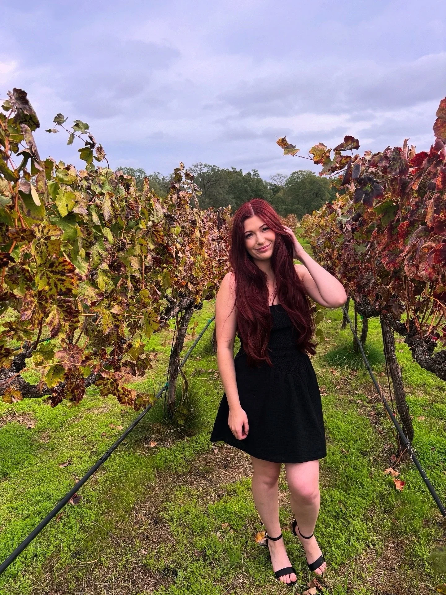 ✨ Stylist Spotlight: Sierra ✨

Meet Sierra 🤍 one of those stylists who instantly makes you feel comfortable in her chair and confident walking out the door. She&rsquo;s known for her attention to detail, effortless blends, and creating looks that fe