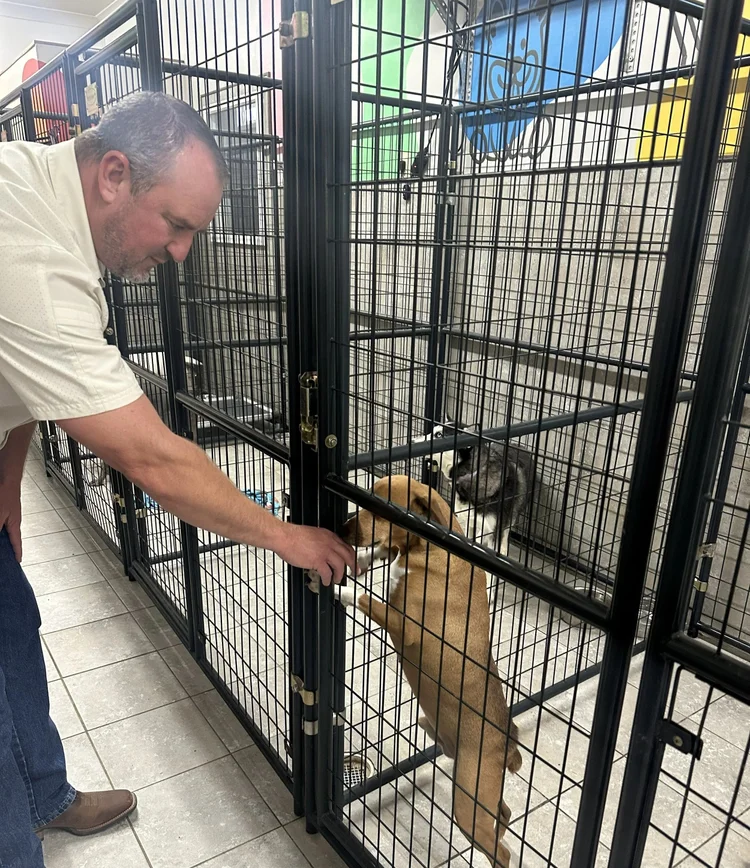 LaMa Animal Rescue