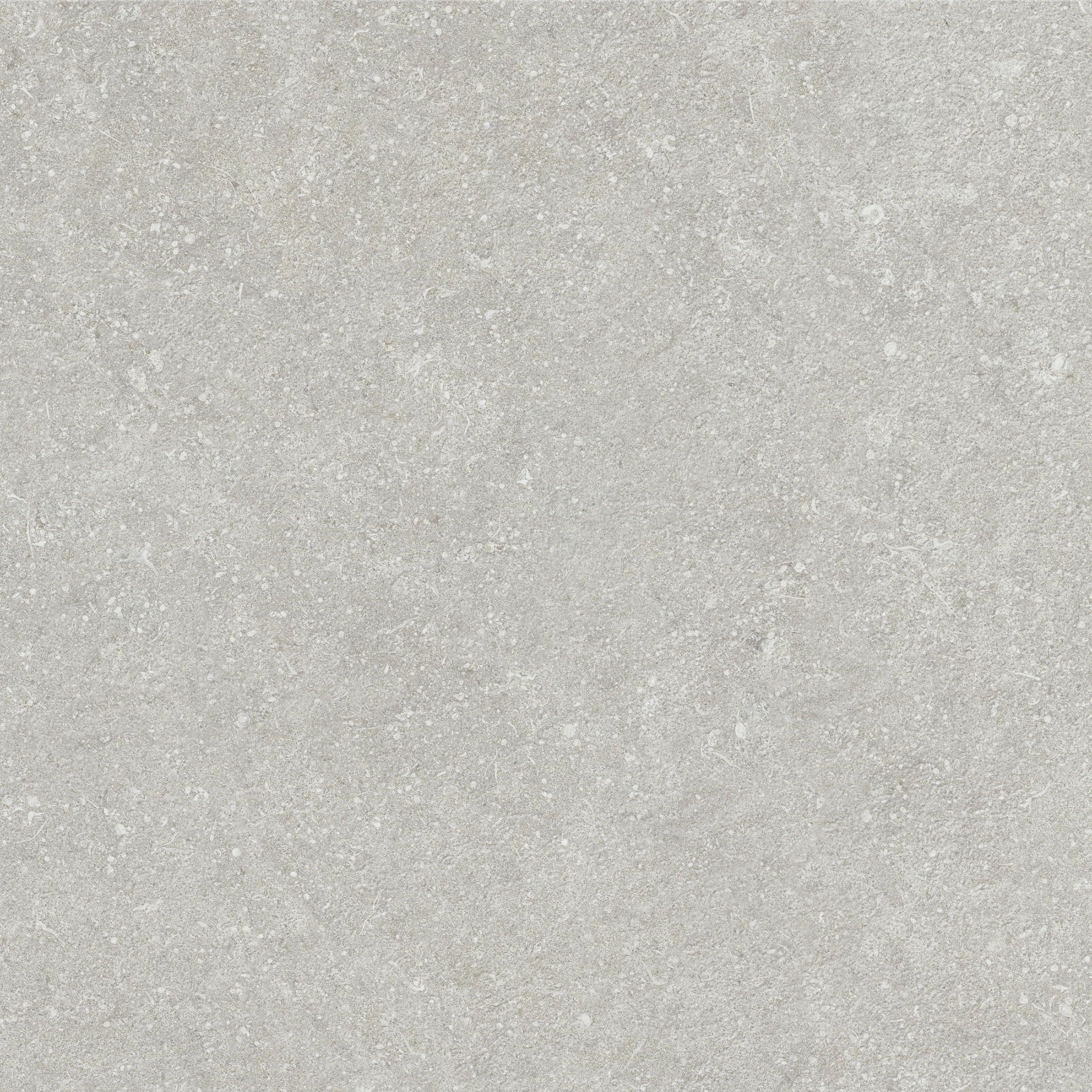 Berici Cenere limestone look porcelain tile texture