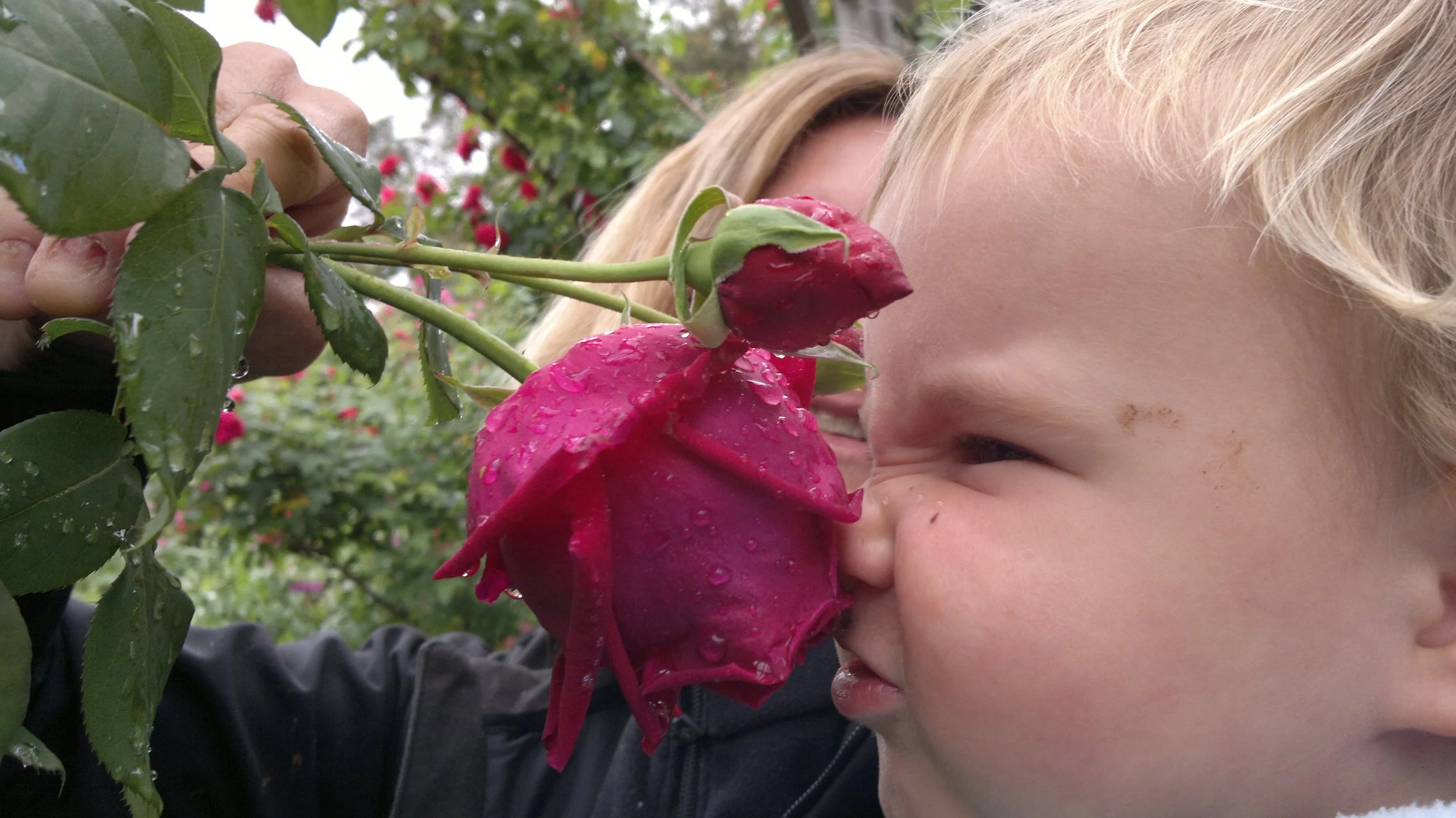 WHy kids love gardening