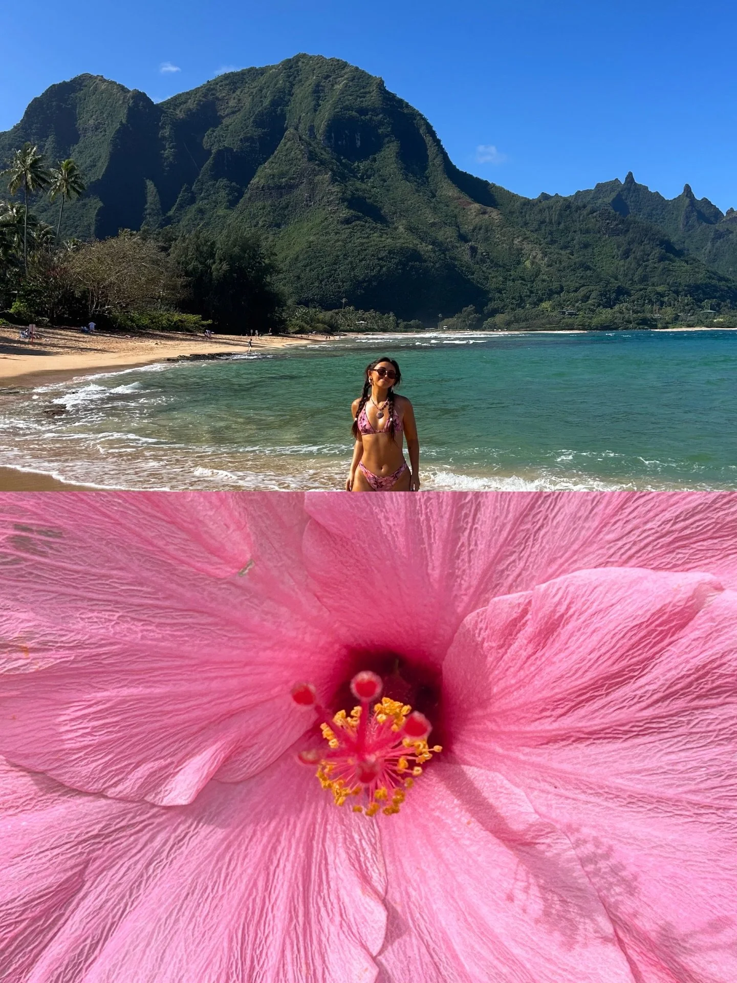 color in kauai 🌺🌊🌀🌴🍍🥥👙🐬🥭