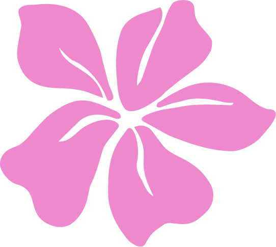 Custom pink hibiscus illustration.