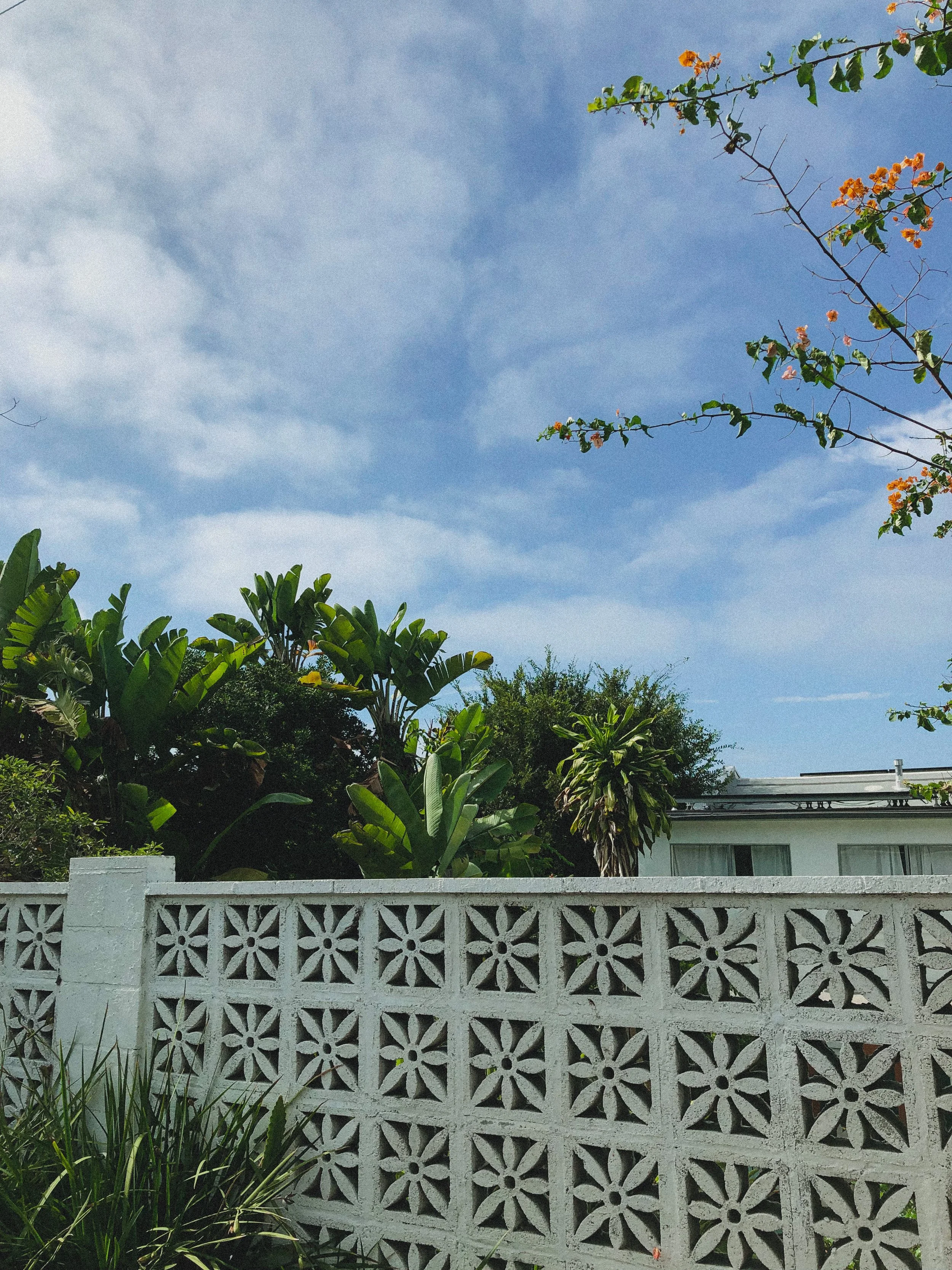 A concrete floral breeze block wall in front of green tropical plants and trees under a blue sky in San Diego, California.