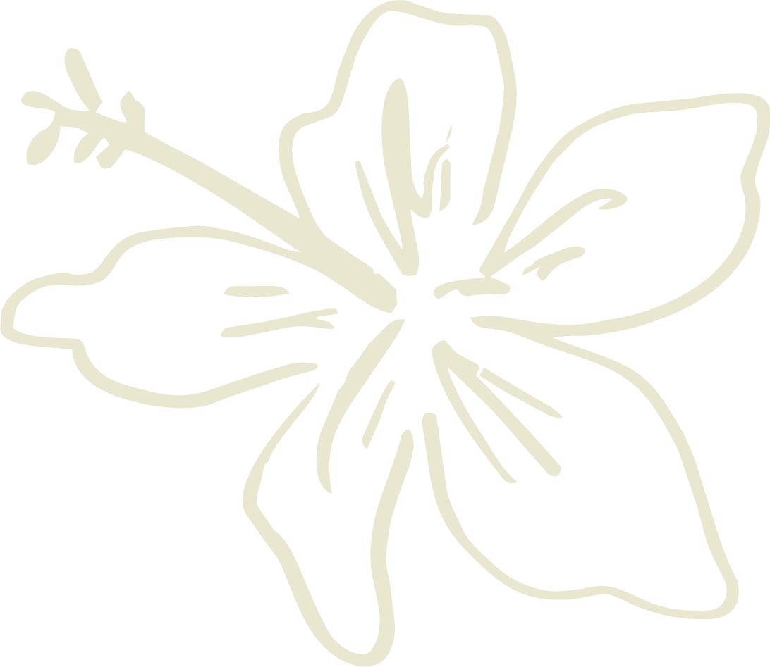 Outline drawing of a hibiscus flower in a minimalistic relaxed simple style.