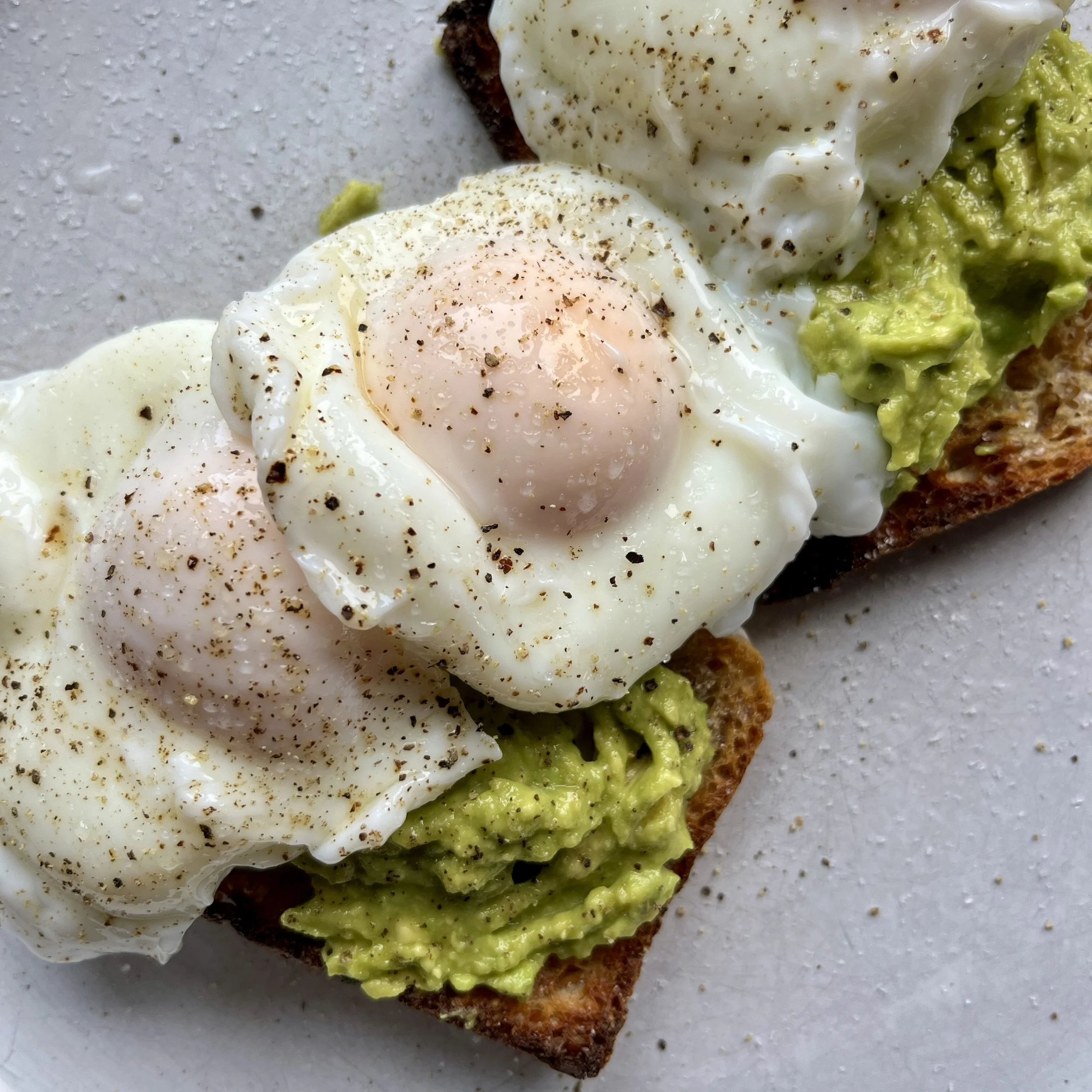 Eggs n Vogels