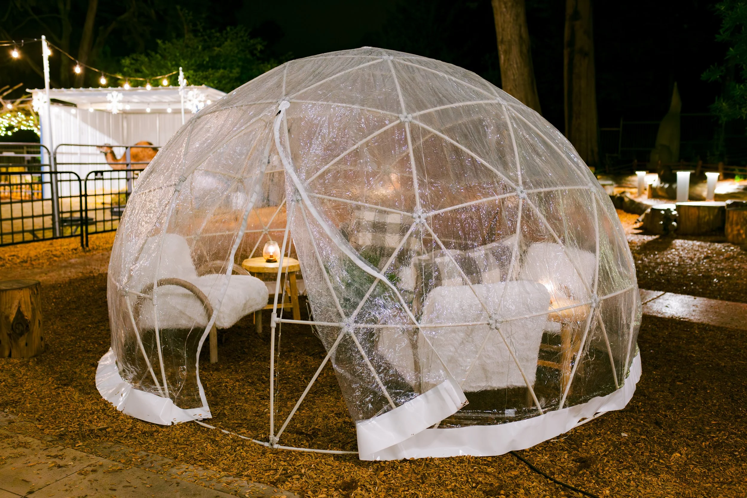 Event Design: @GlowEvents http://www.glowevents.com Photographer: @Melanie Duerkopp