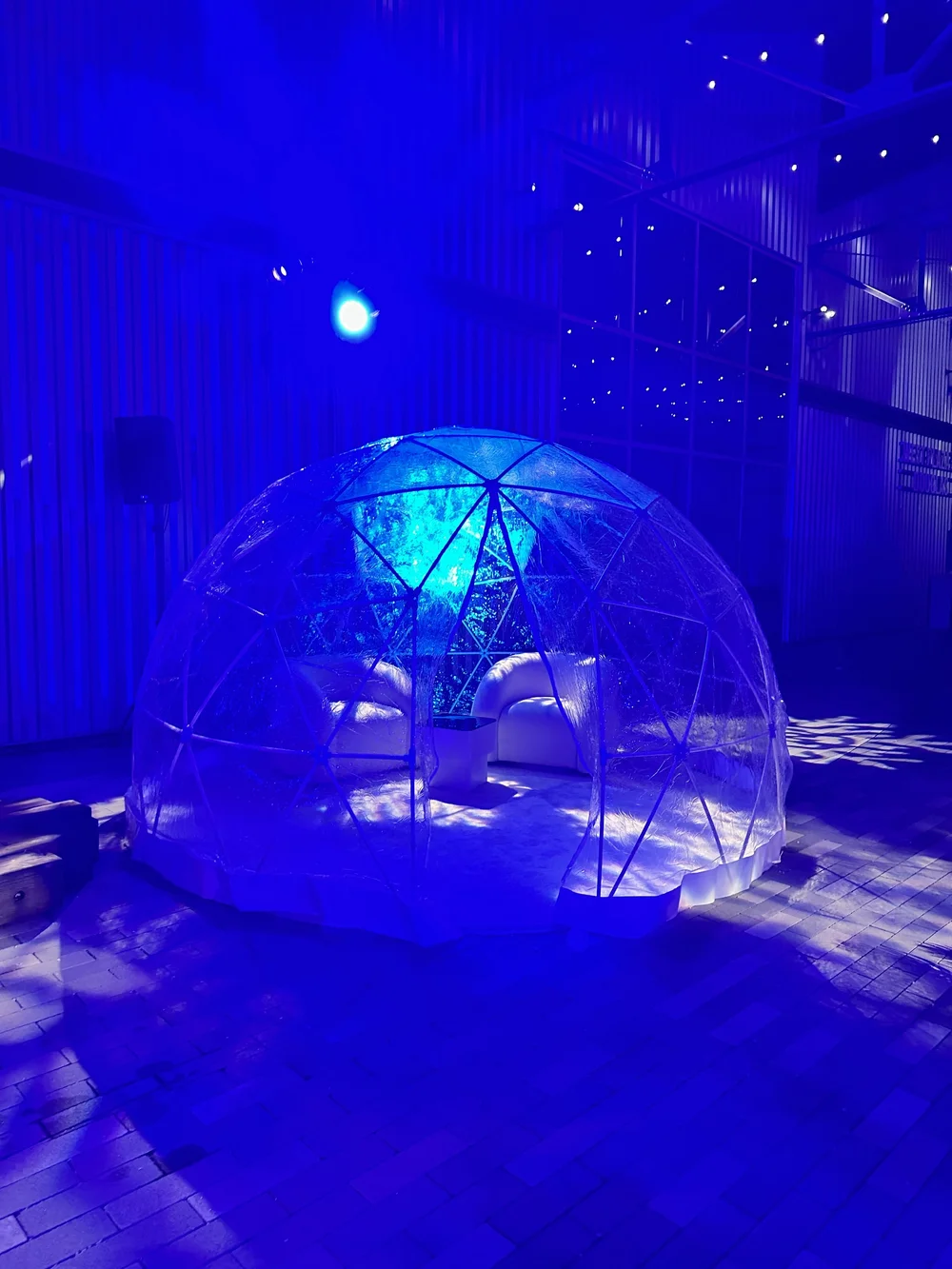 Party Rental Igloos