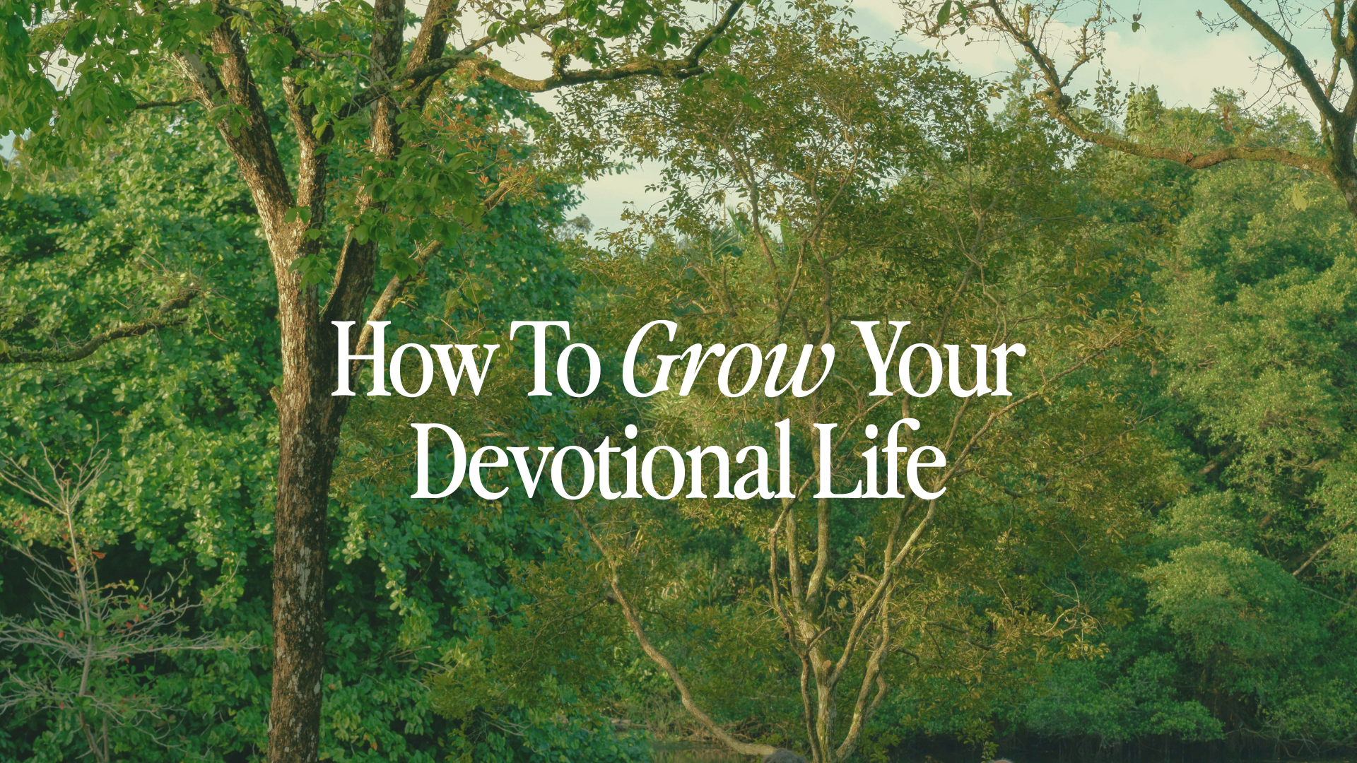How To Grow Your Devotional Life