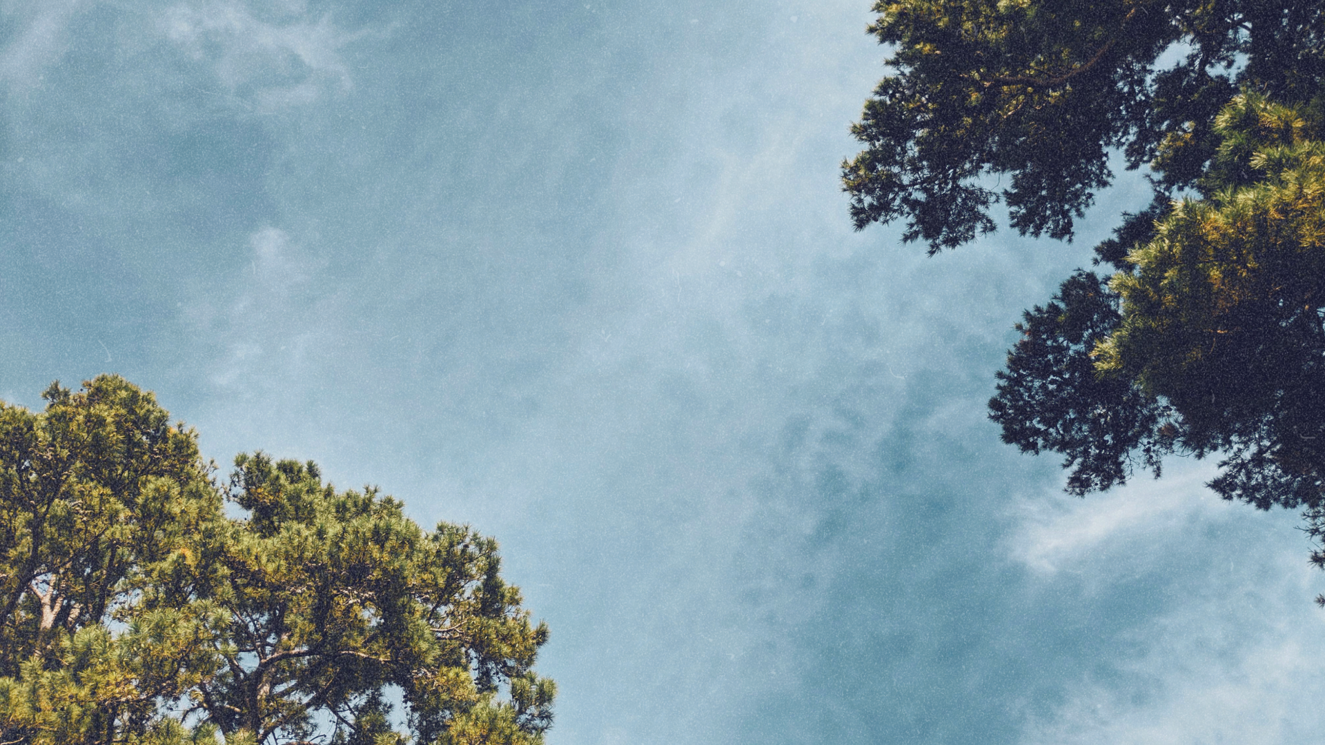 May Sermon Series: Stand Firm &amp; Stay Faithful