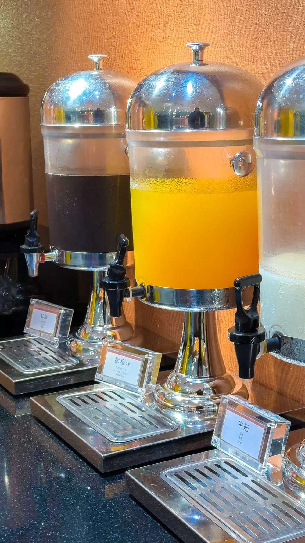 GPTempDownload 204.JPG