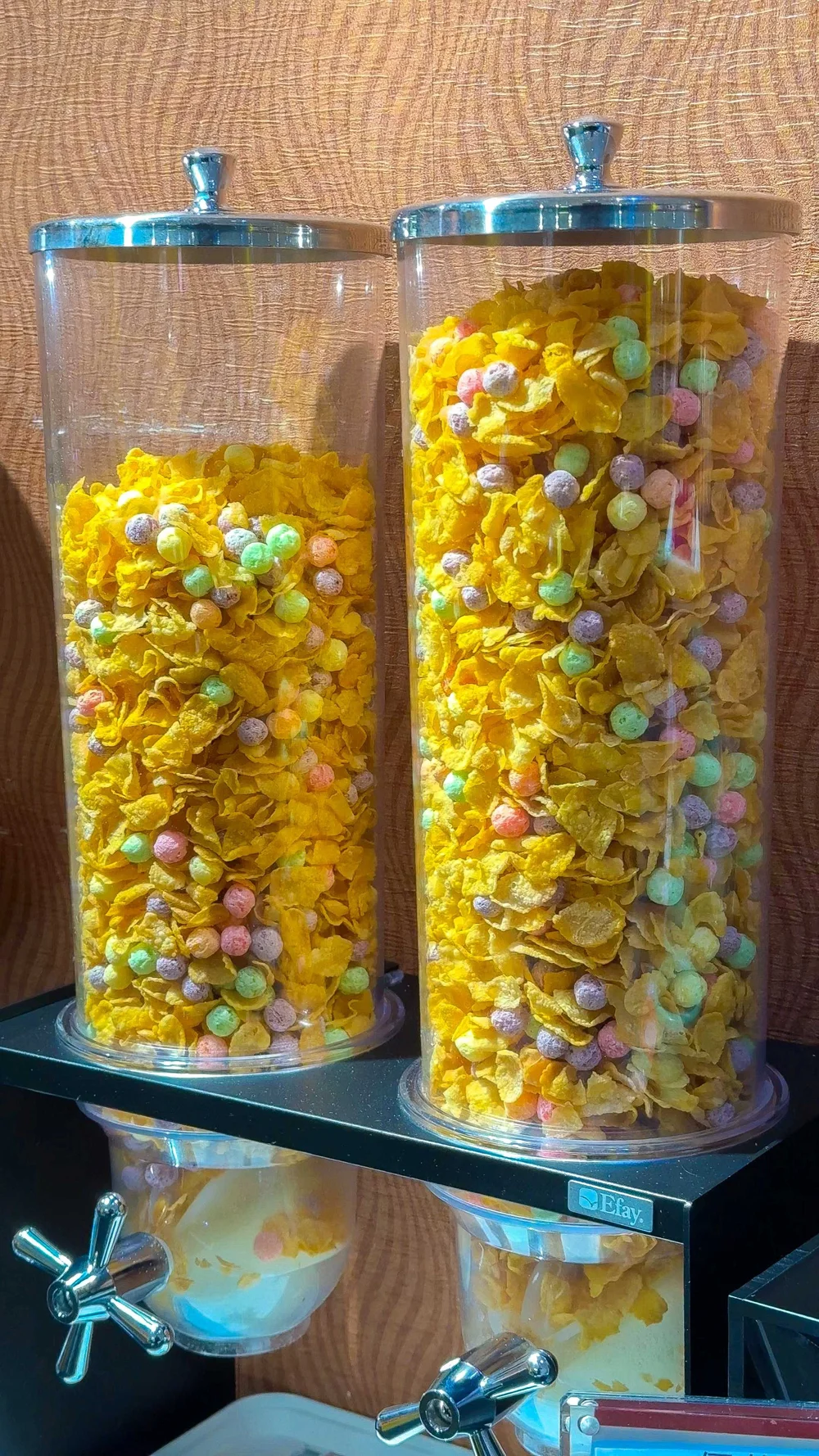 GPTempDownload 205.JPG