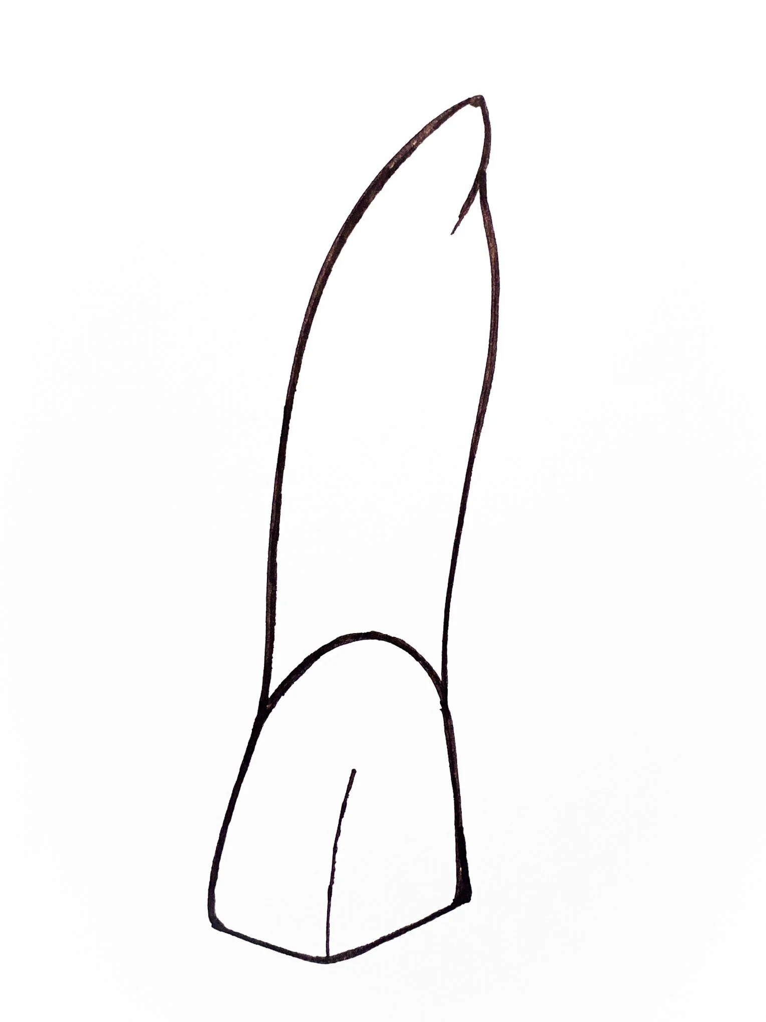 Zahnarzt Linz_der Zahn.jpg