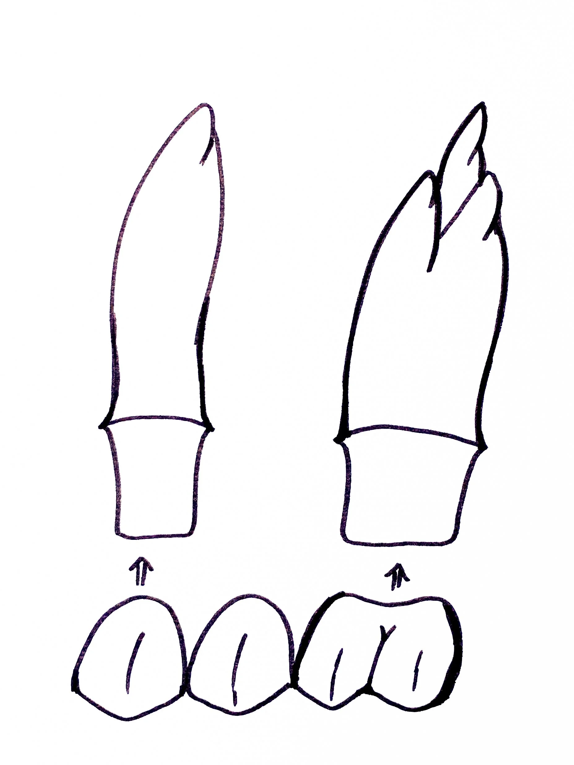 Zahnarzt Linz_Brücke.jpg