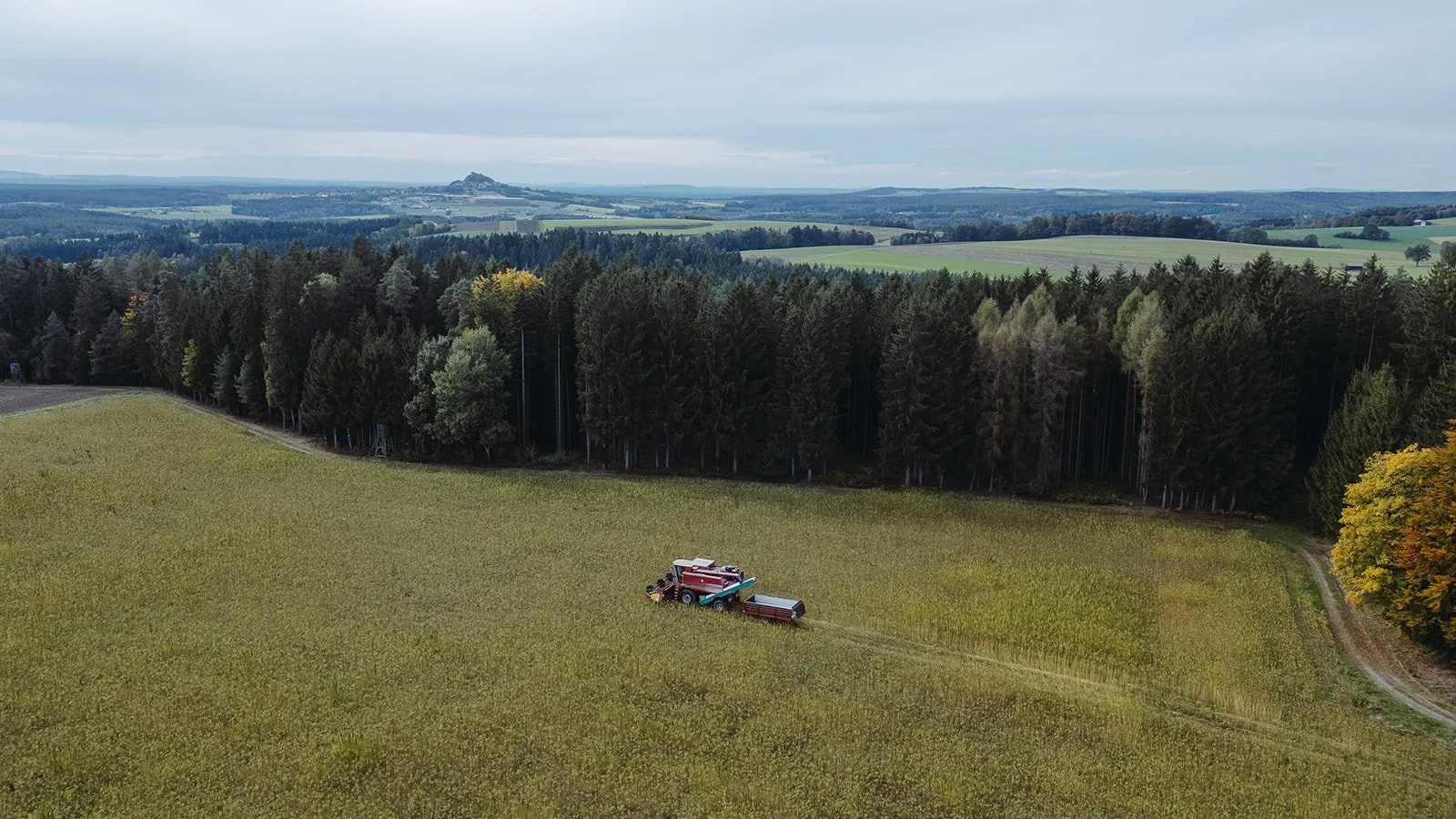Langzeit-Begleitung in der Oberpfalz: ZweiZehn – Nutzhanf von der Aussaat bis zum Endprodukt