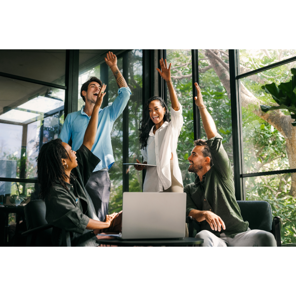 software IT  staff team