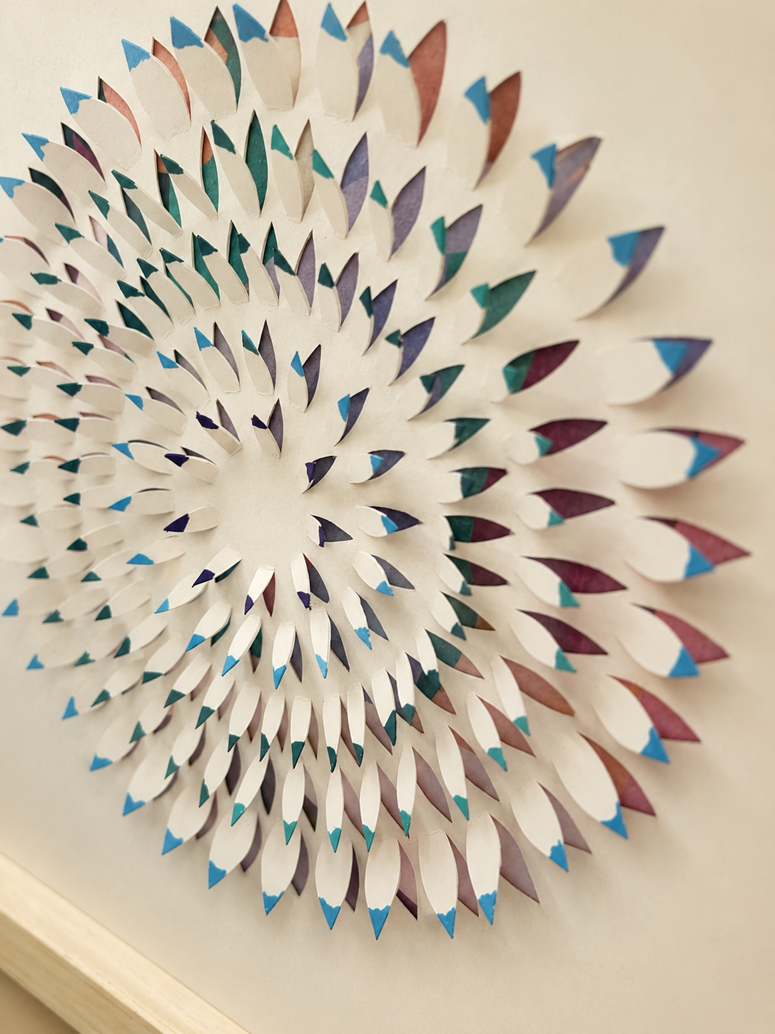 eclosion_coloree_decoupepapier_2.png