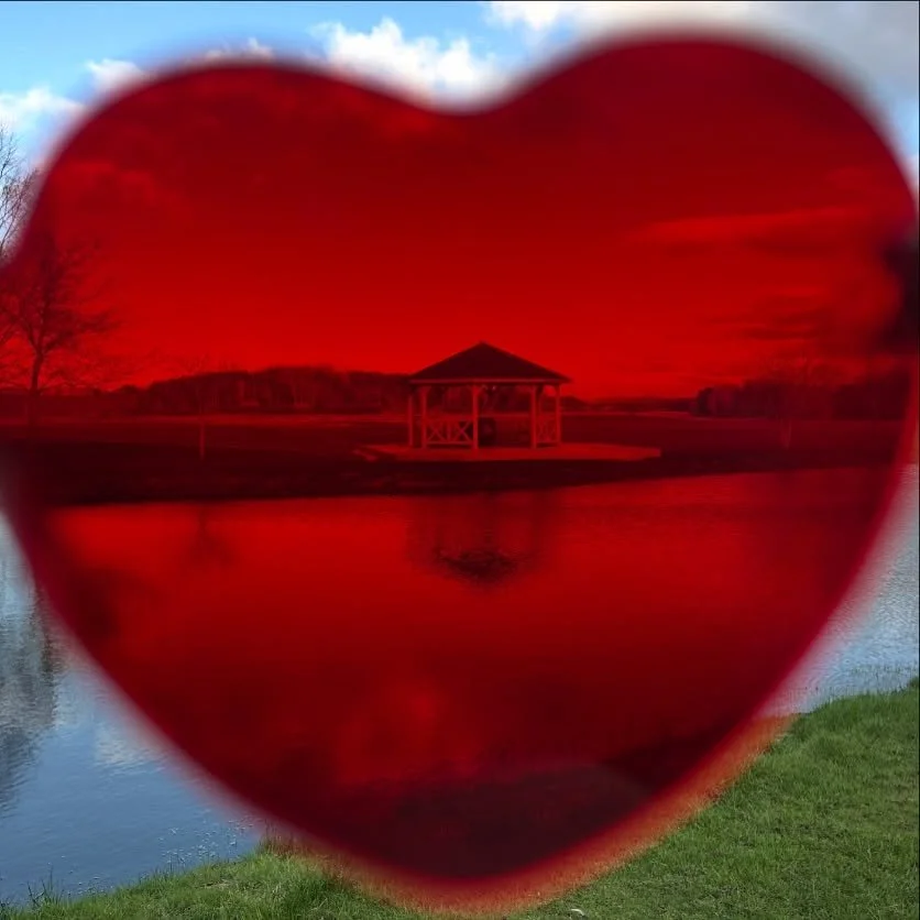 Happy Galentines Day from the Bachilton Girlies 💕🫶