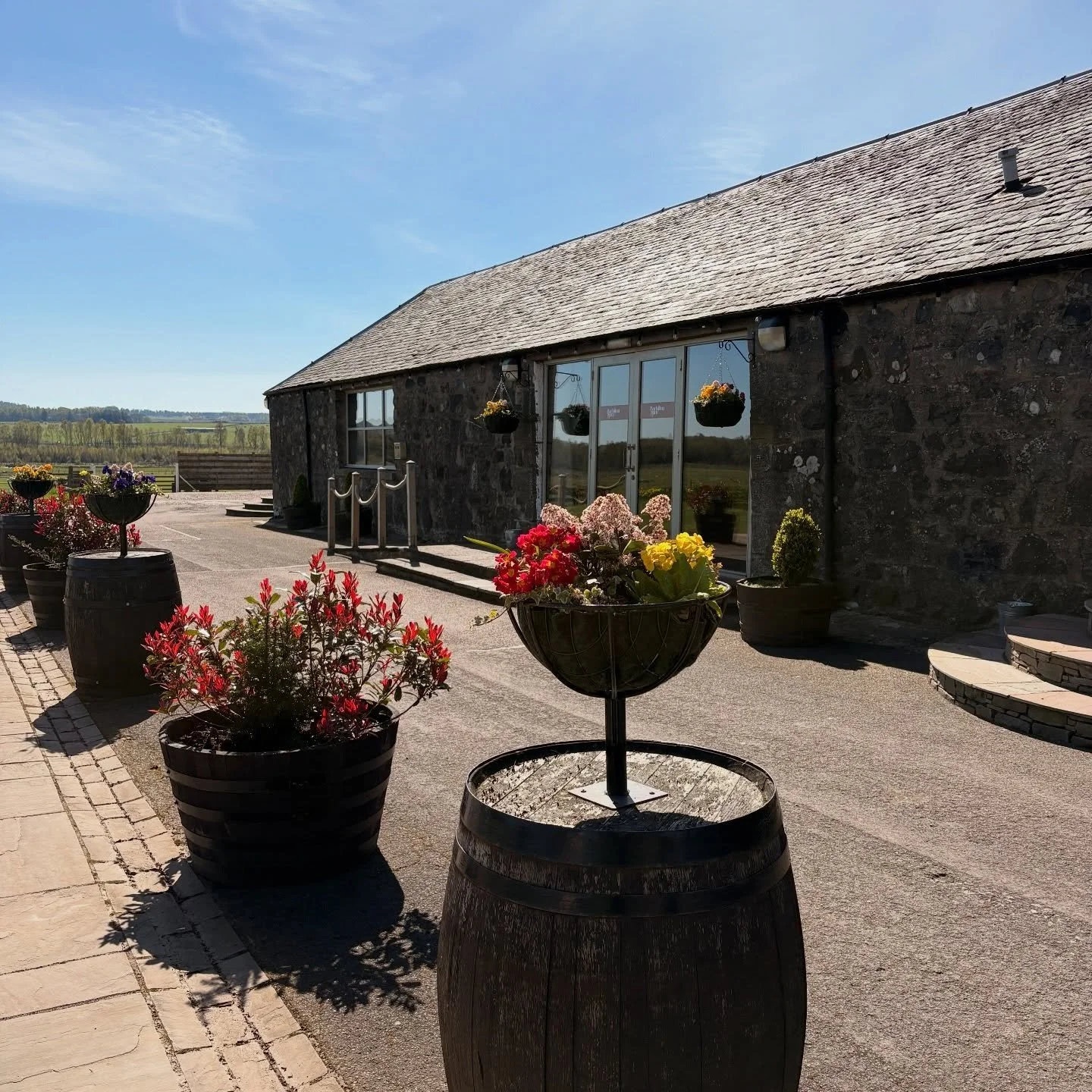 spring sunshine at bachilton farm 🌸🌼🌷☀️