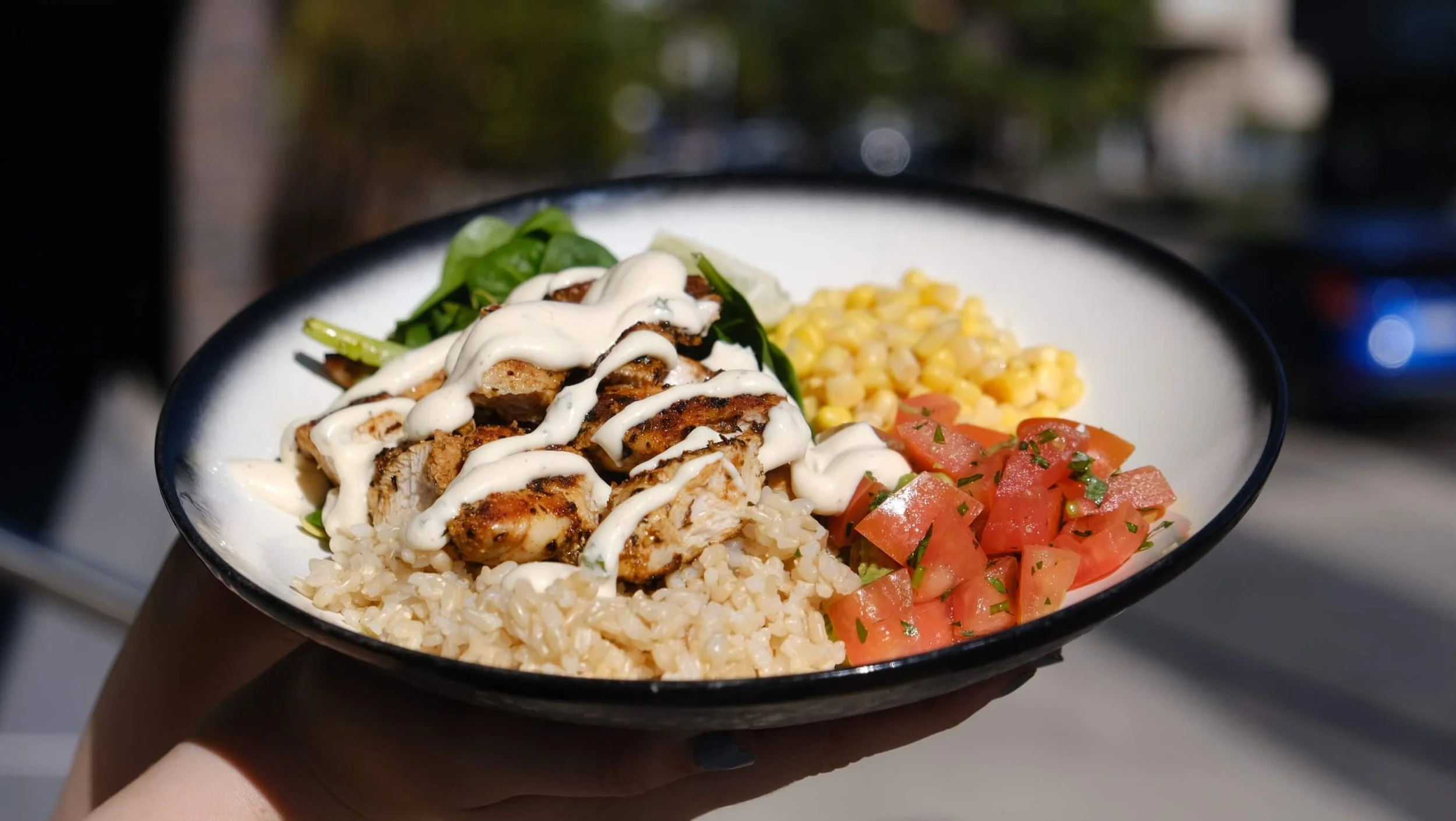 utopia-rice-bowl-wollongong.JPG