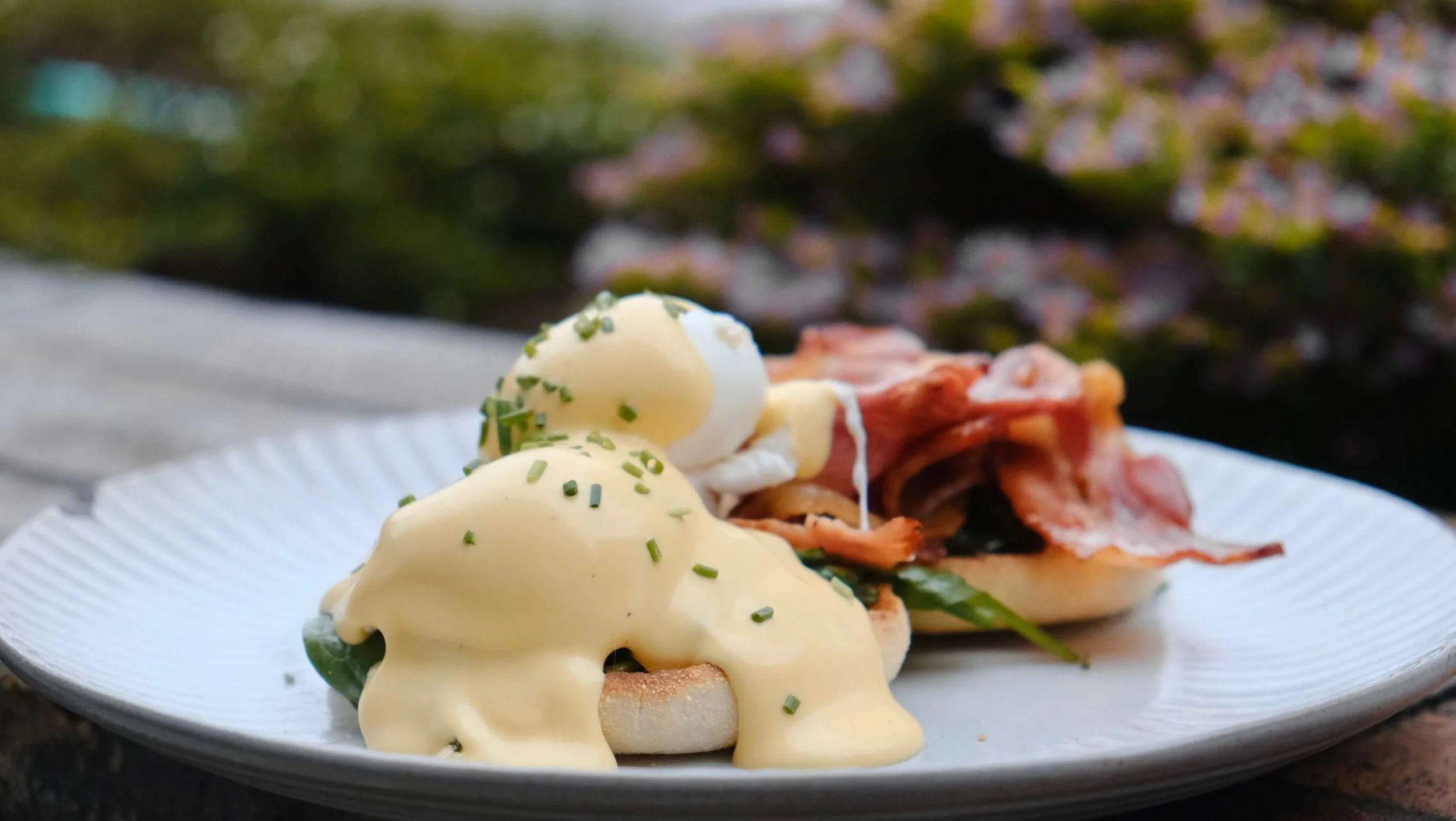 Utopia-Eggs-Benny.JPG