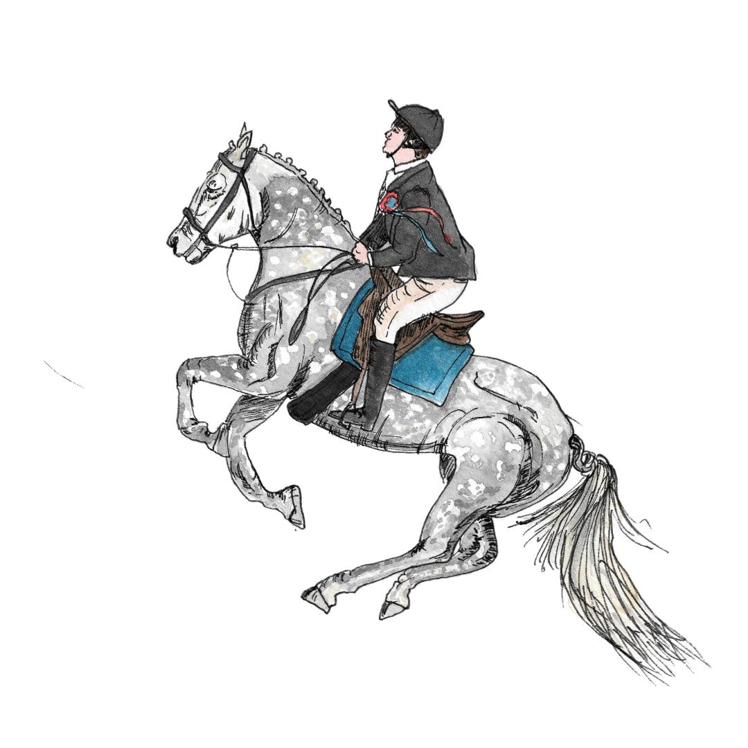 Illustration of a horse and rider from the Riding of the Bounds Illustrated Map
