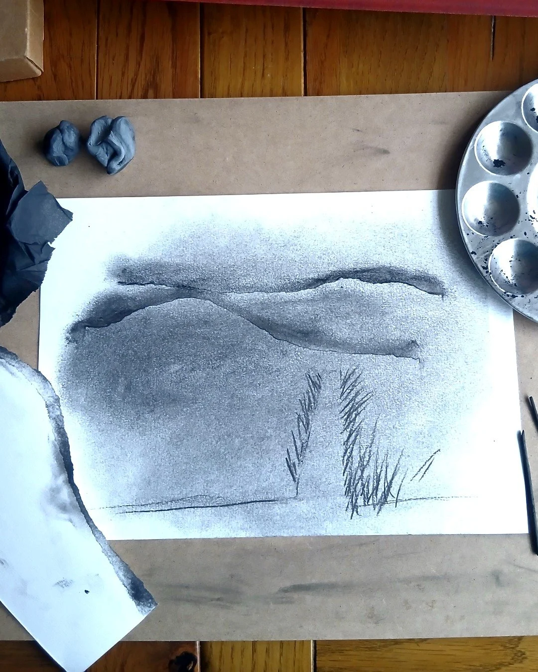 What do illustrators do when they're not drawing for work? 🖤
Well, in my case, they draw for fun!

For the past few weeks I've been taking a course called 'Discover Charcoal Drawing' with the brilliant @tansyleemoir &mdash; an artist with one of the