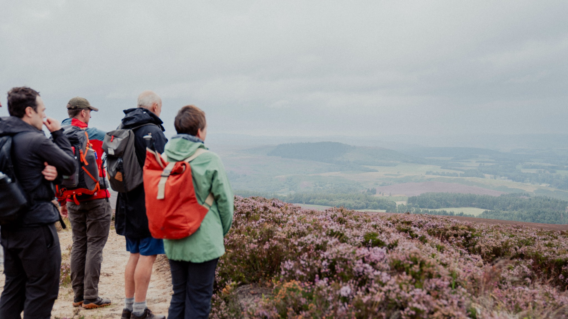 Designing a Visitor Passport for a rewilding estate