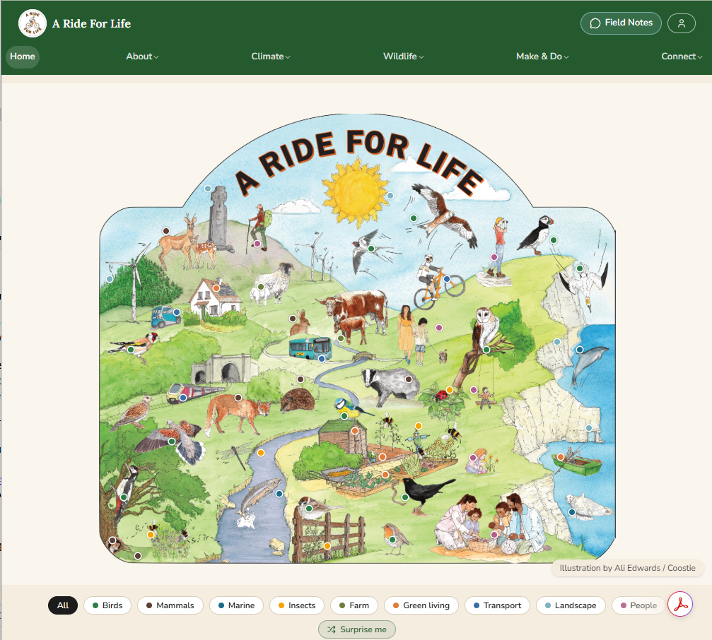 ARFL website home.png