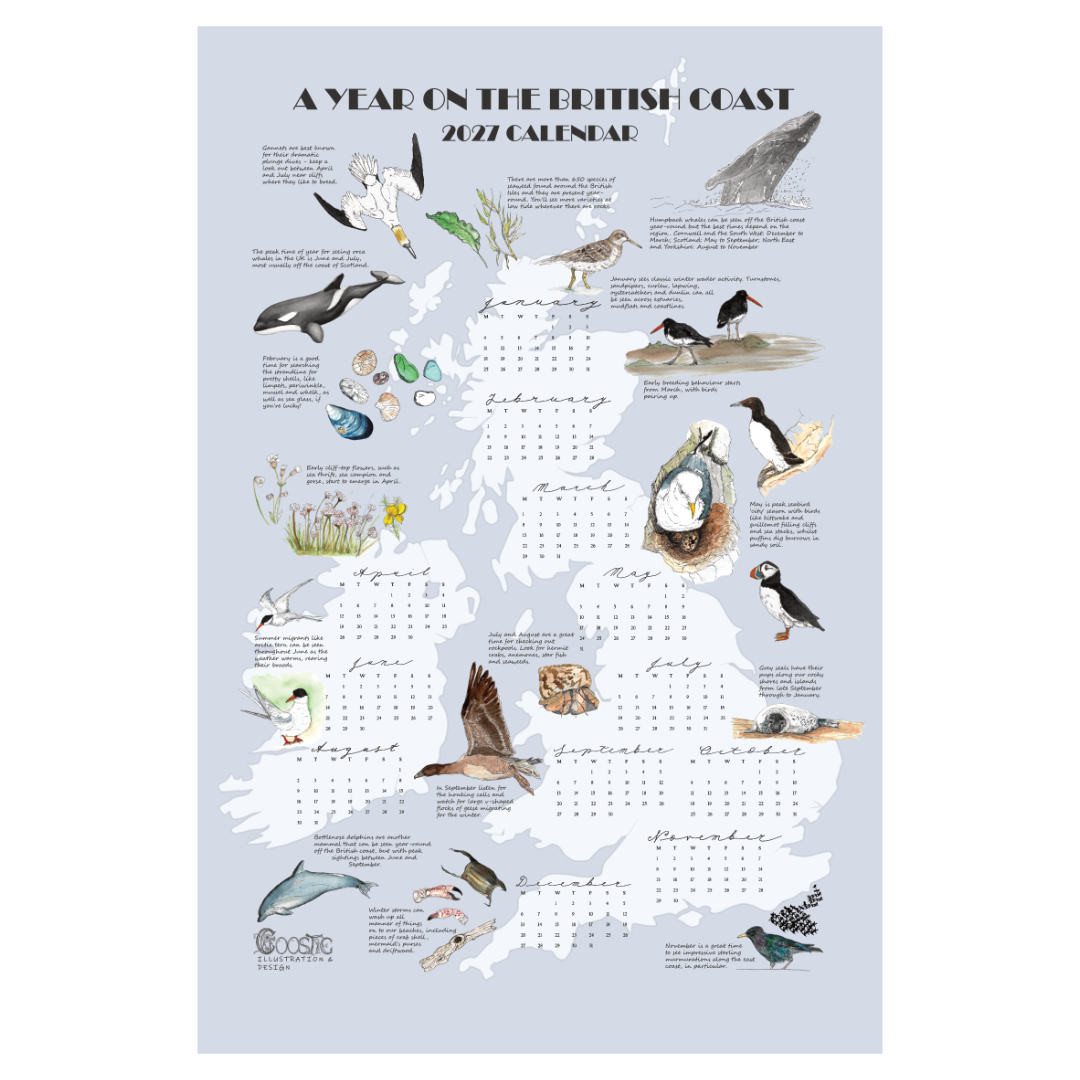 2027 Tea Towel Calendar_design_web.png