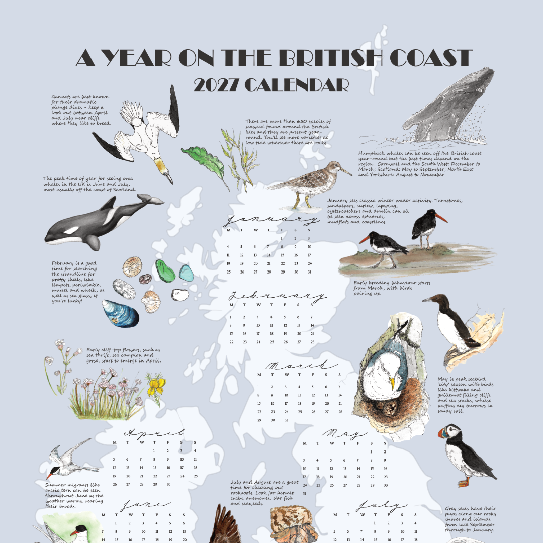 2027 Tea Towel Calendar_design-top_web.png