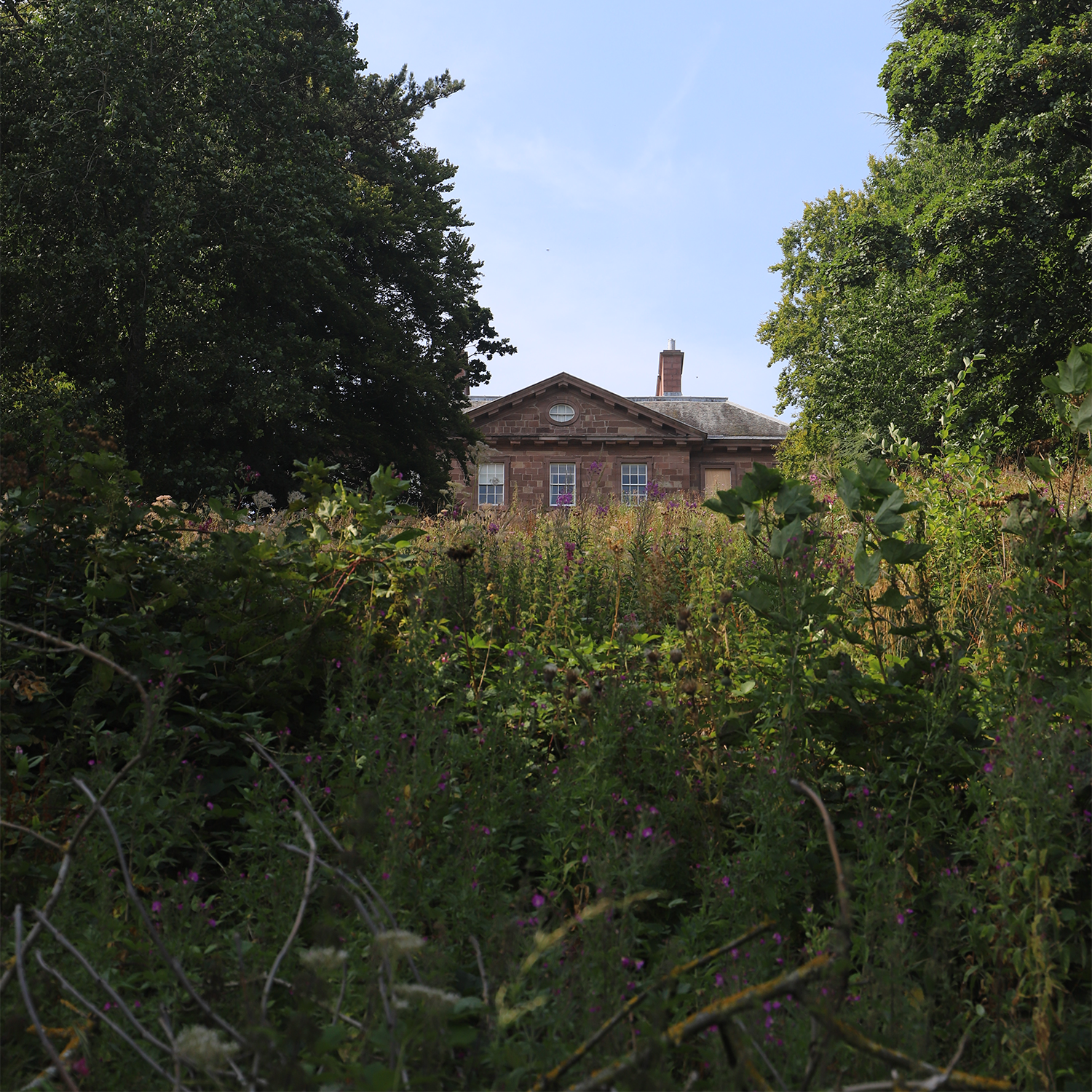 Paxton House peeking through the greenery.png