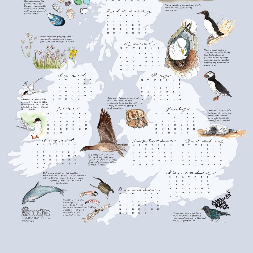 2027 Tea Towel Calendar_design-bottom_web.png