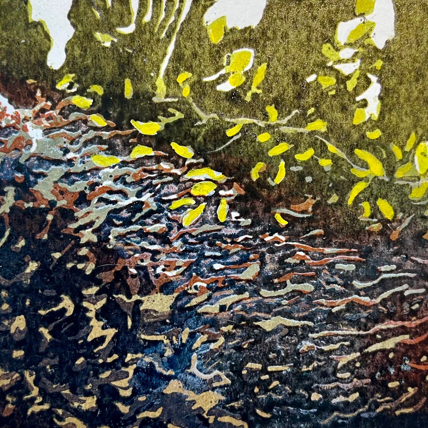 finished tiny mini print. spring finally showing with new leaves despite the rain
#reliefprint #woodcut #miniprint #newleaf #promise #emerging #renewal #opening #northdevon #exmoor