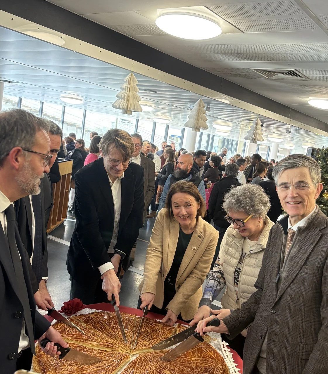 IMAGE 2026-01-29 17:16:33.jpg