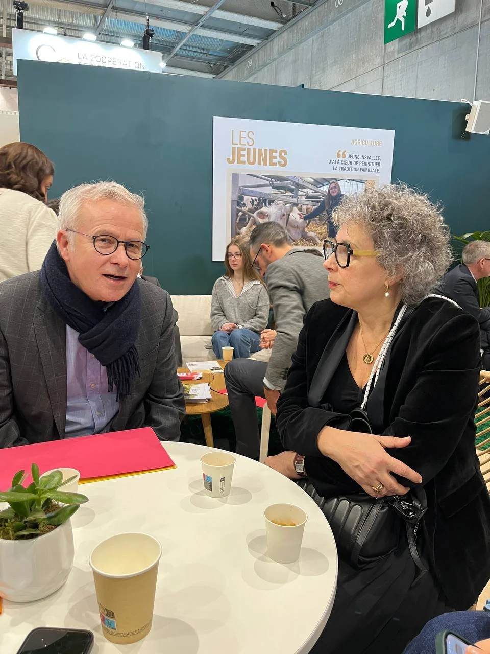 IMAGE 2026-02-25 16:26:46.jpg