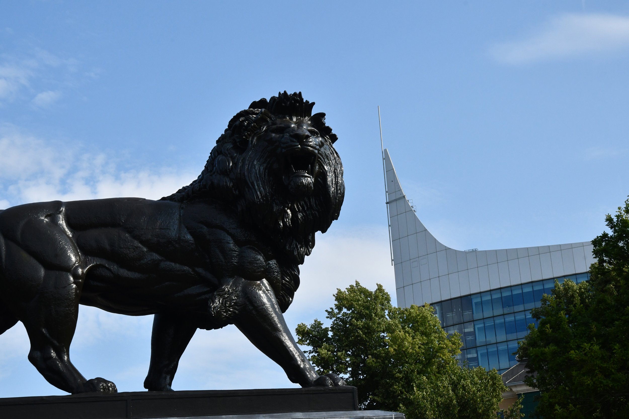 DSC_8642.jpg