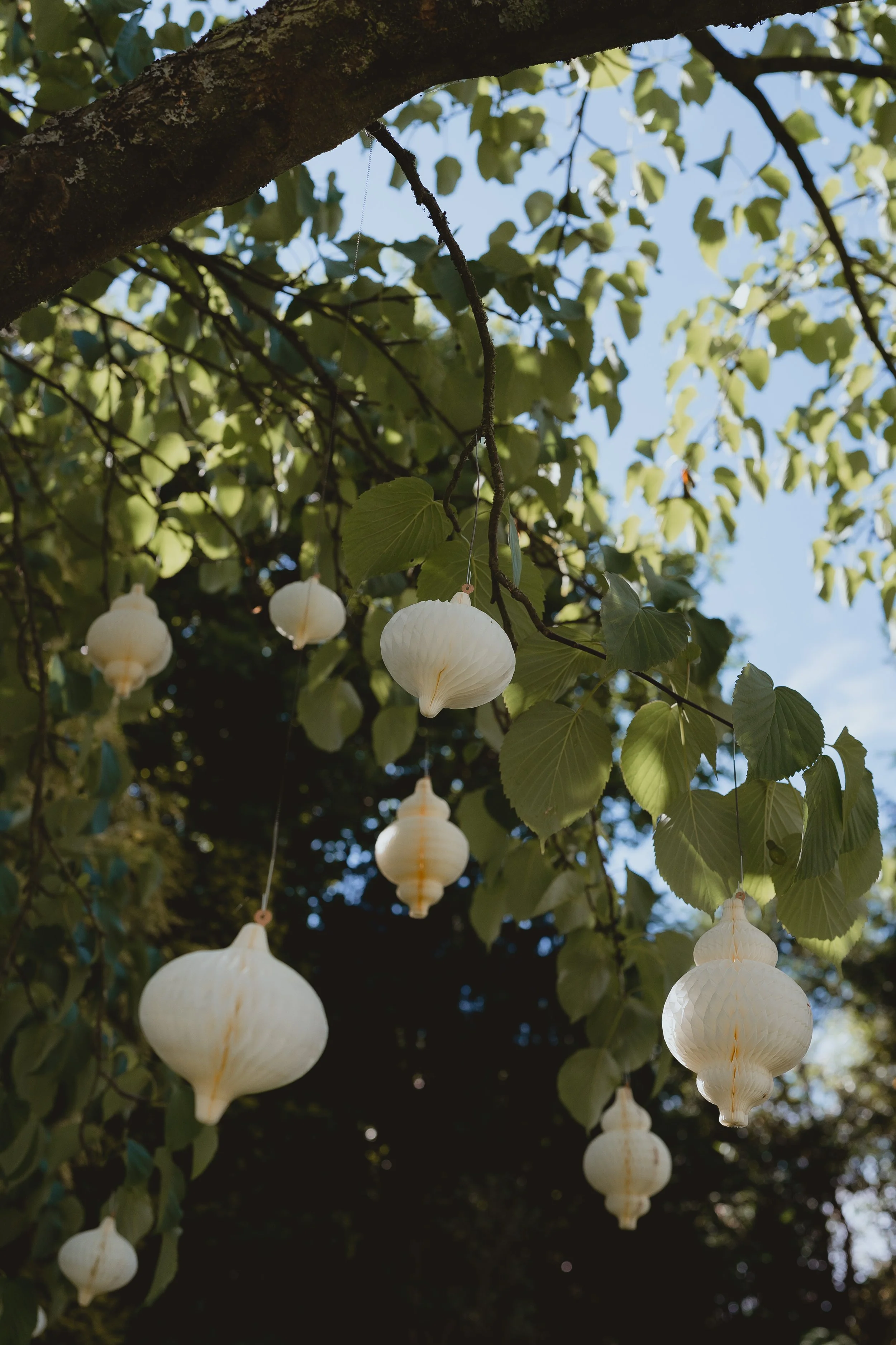 the bloomys wedding in suffolk-176.jpg