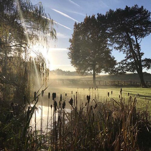 image-asset (1).jpeg