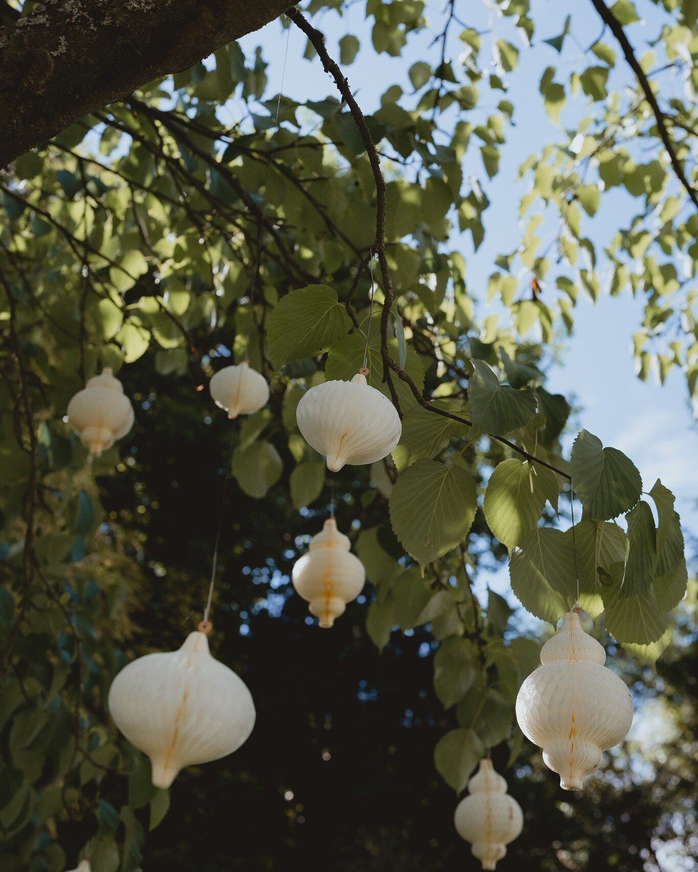 The brilliant Paper Dreams helped to transform the garden into a bejewelled wonderland. Crisp whites to surround the guests at the ceremony, and an explosion of pink throughout the rest of the garden. 
⁠
Dripping from every tree, lining the spectacul