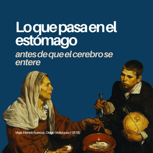 Lo que pasa en el estómago antes de que el cerebro se entere