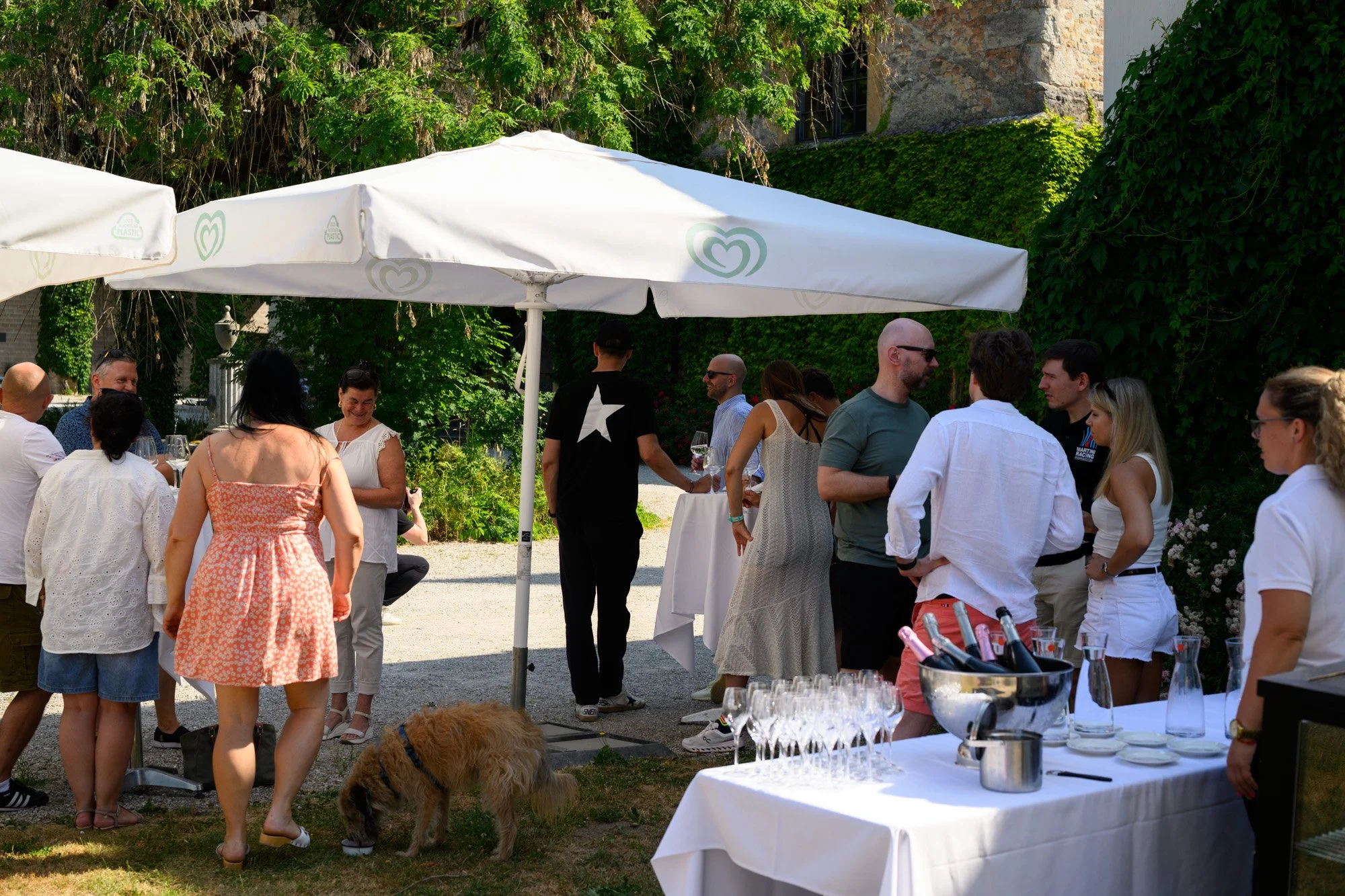 SJY_3414Roast-and-Roll-2-porsche-treffen-eichenbergerstudios-LQ.jpg