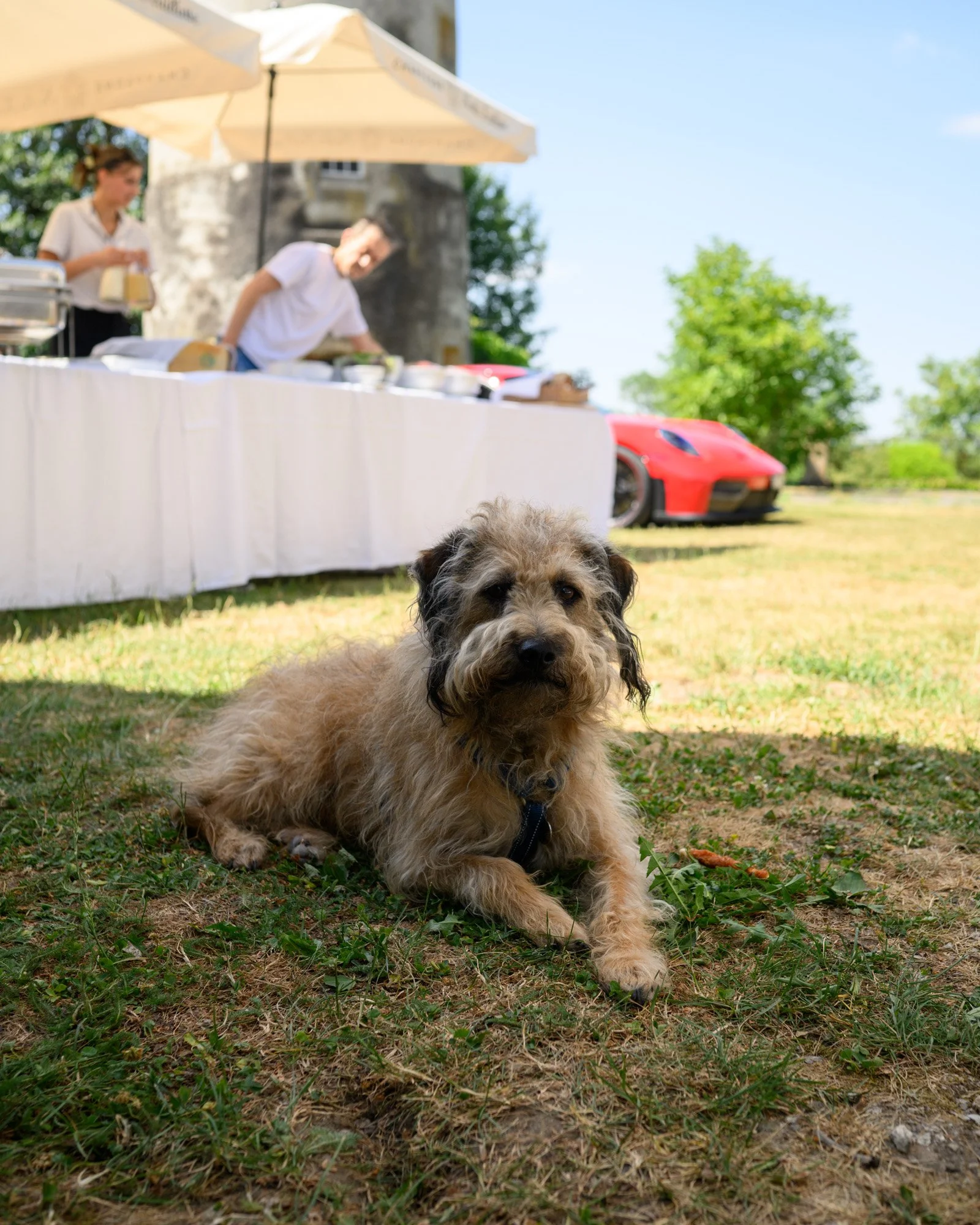 SJY_3513Roast-and-Roll-2-porsche-treffen-eichenbergerstudios-LQ.jpg
