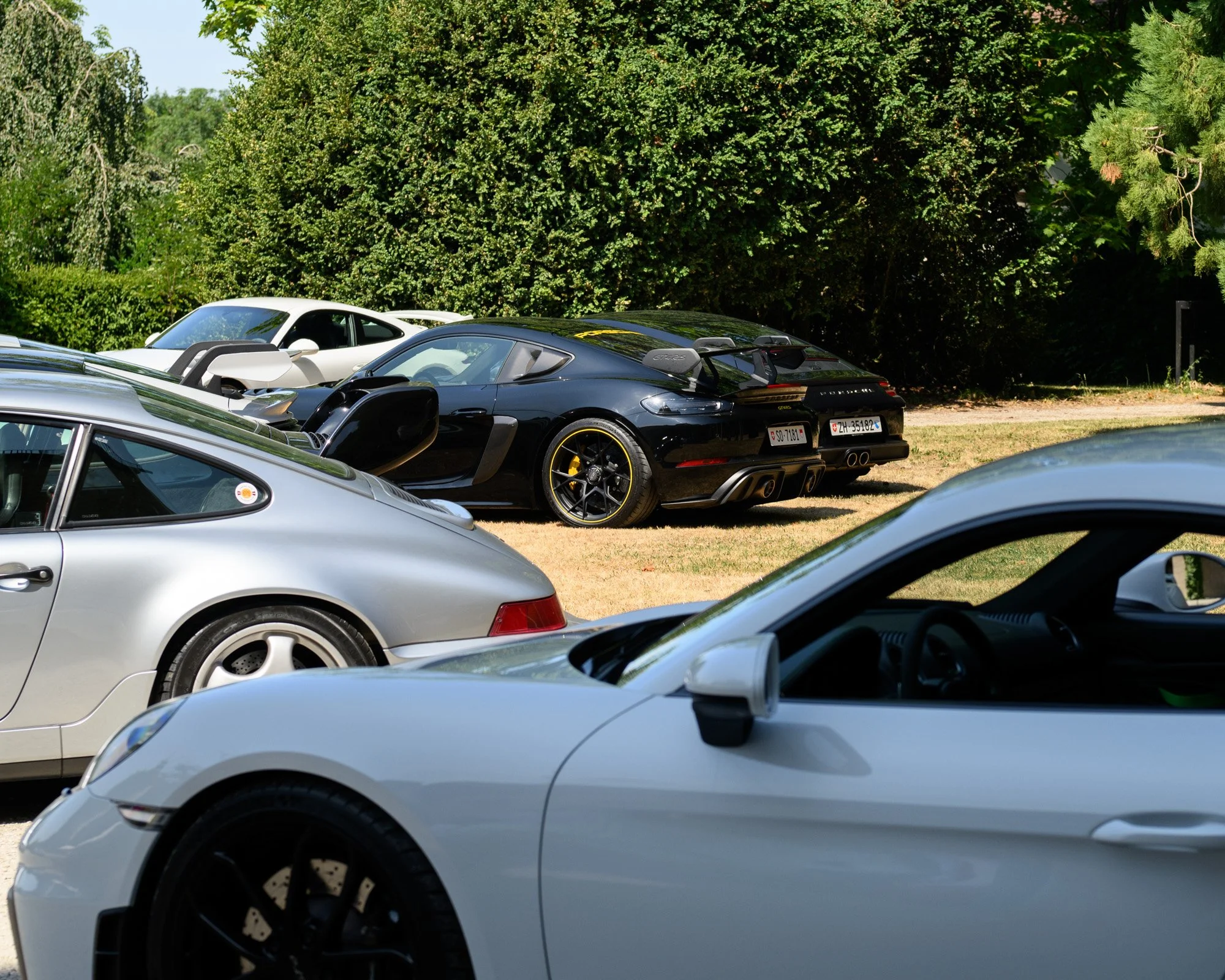 SJY_3505Roast-and-Roll-2-porsche-treffen-eichenbergerstudios-LQ.jpg