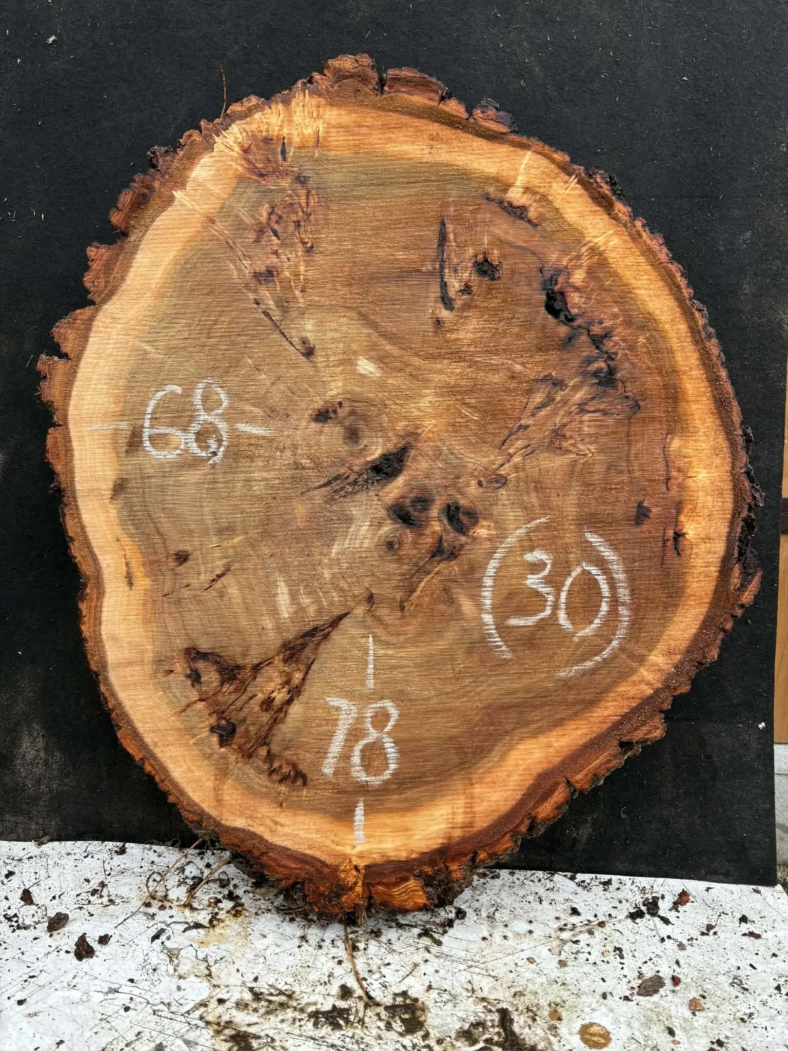 Mappa burl cookie (30).jpeg