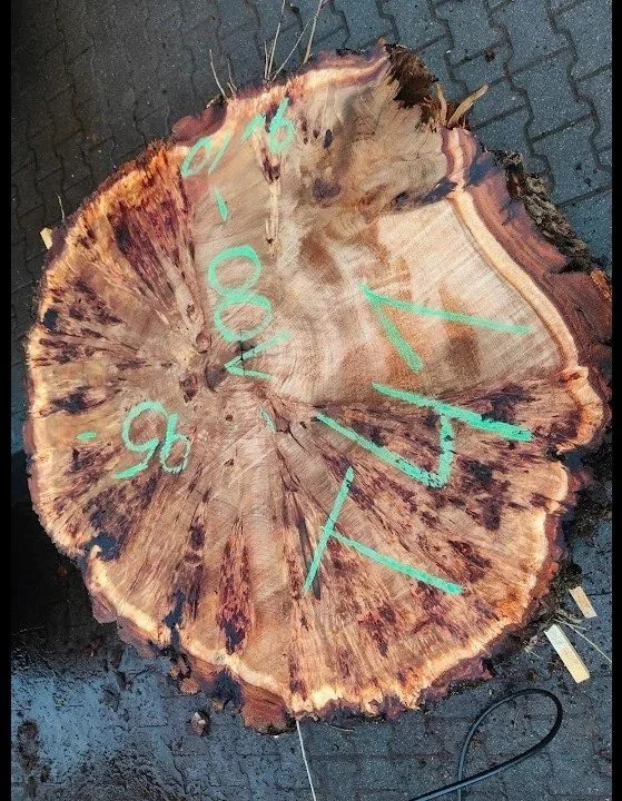 Mappa+burl+cookie+T+41.jpg