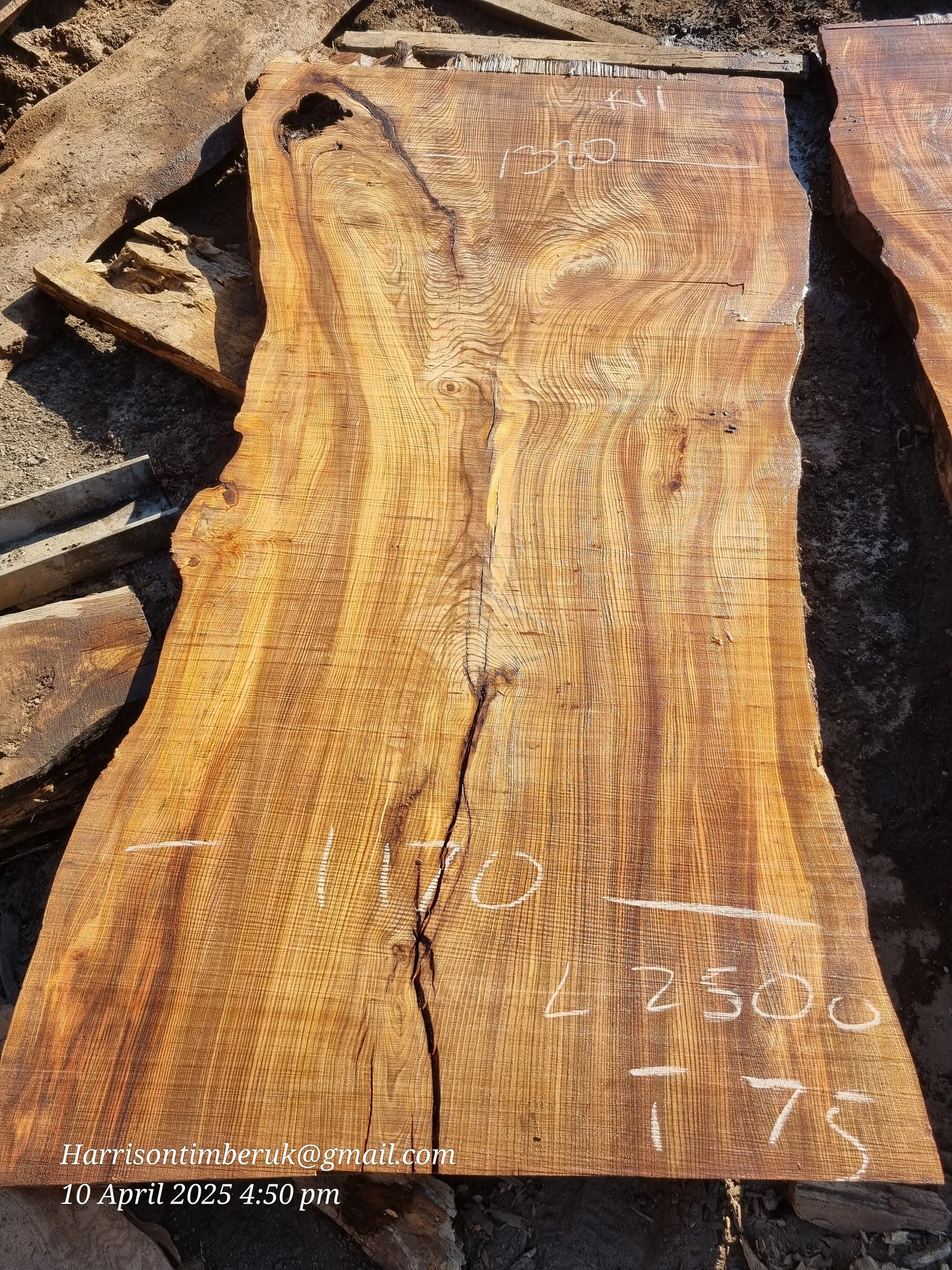 Large Elm Slabs (11).jpg
