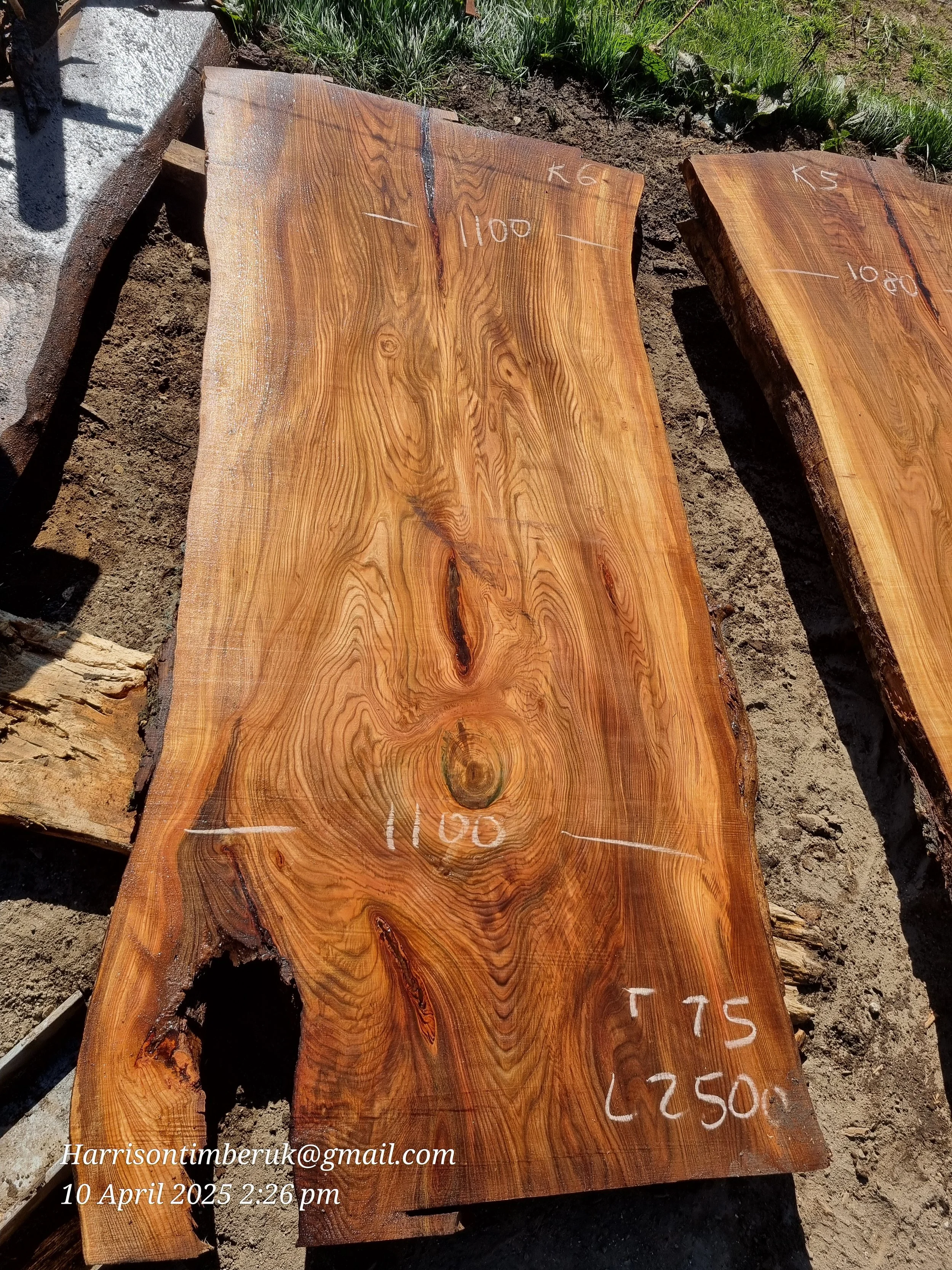 Large Elm Slabs (6).jpg