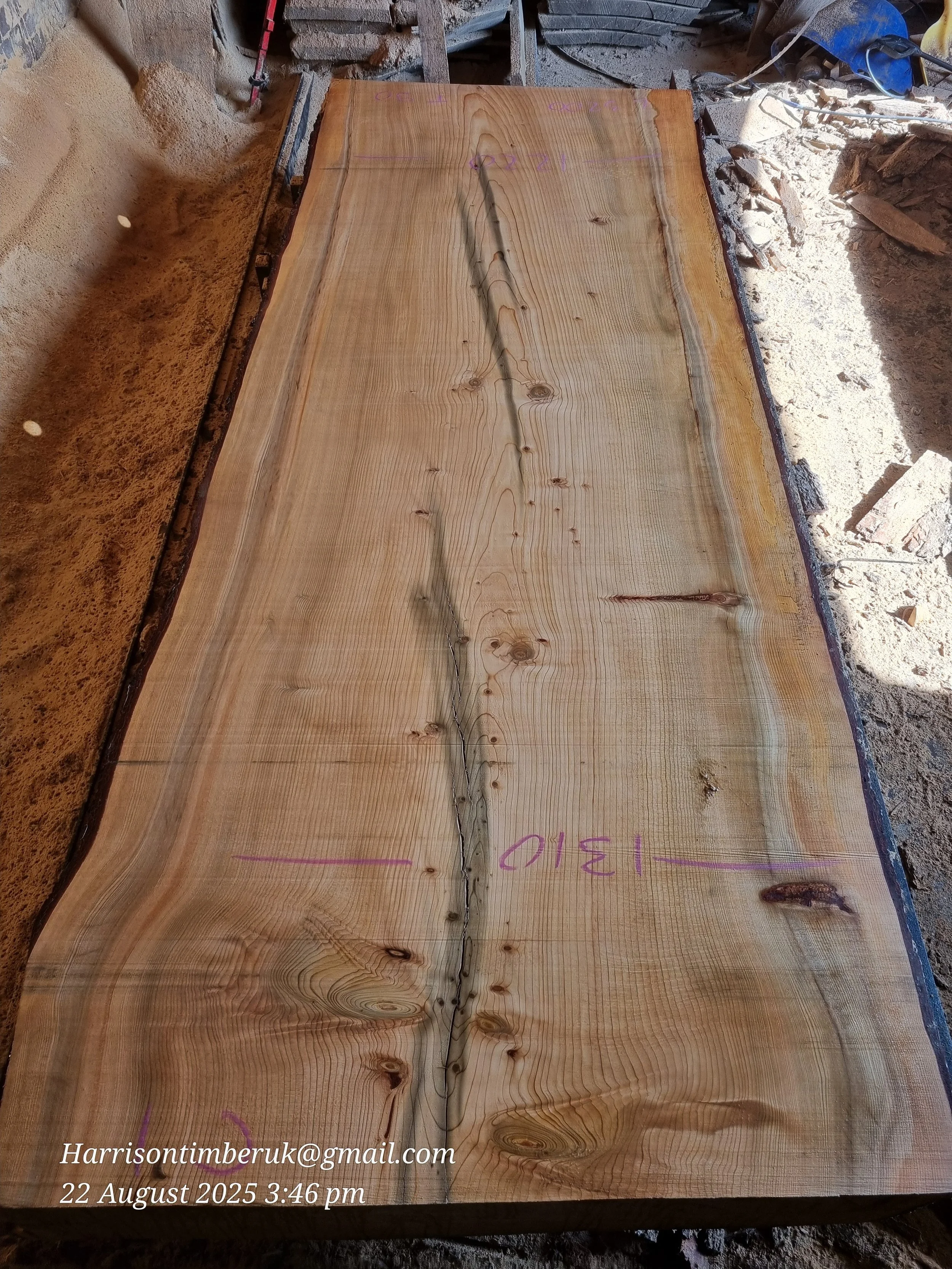 Gigant Cedar Slabs (5).jpg