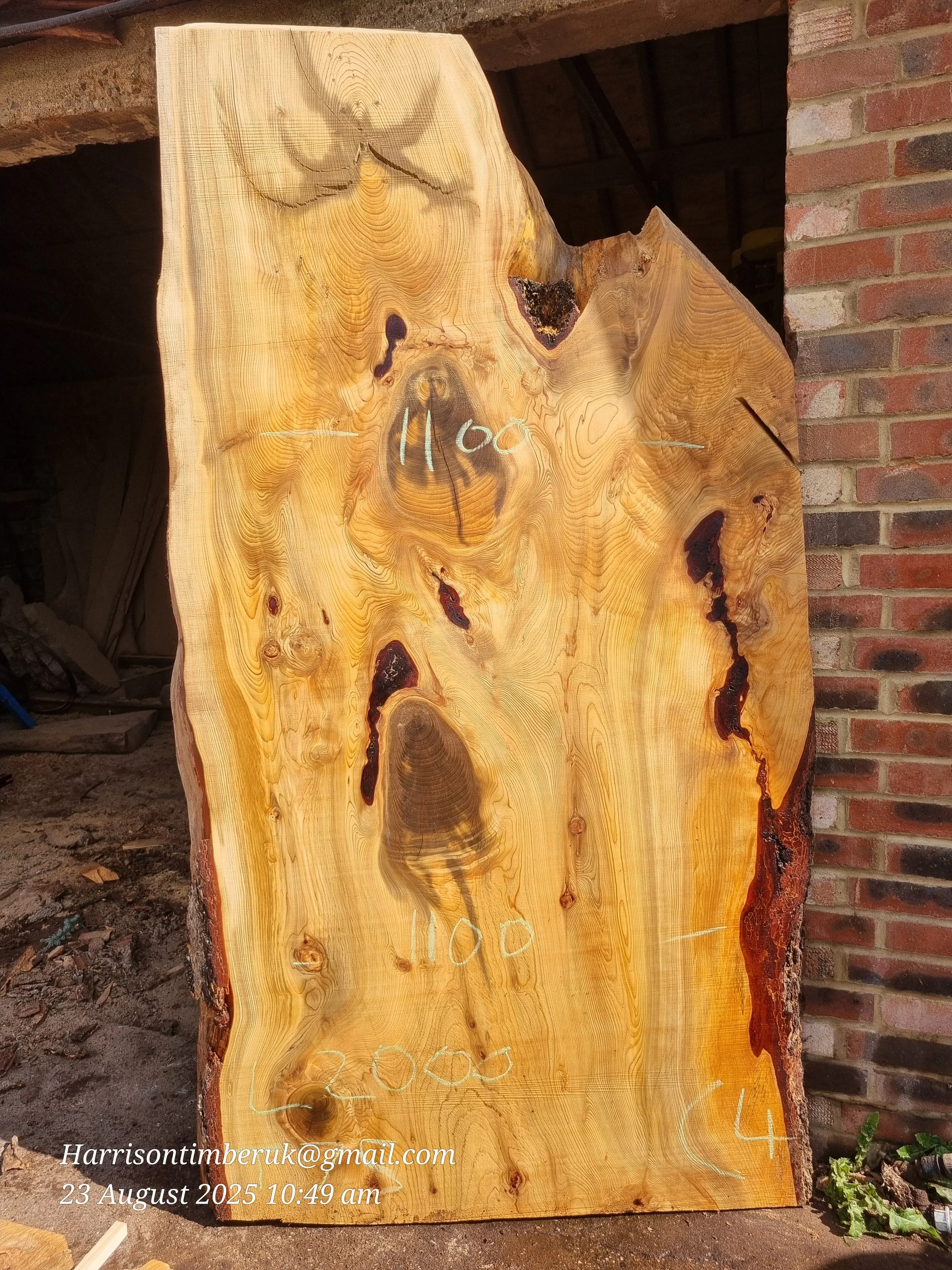 Unusally Looking Cedar Slabs (3).jpg