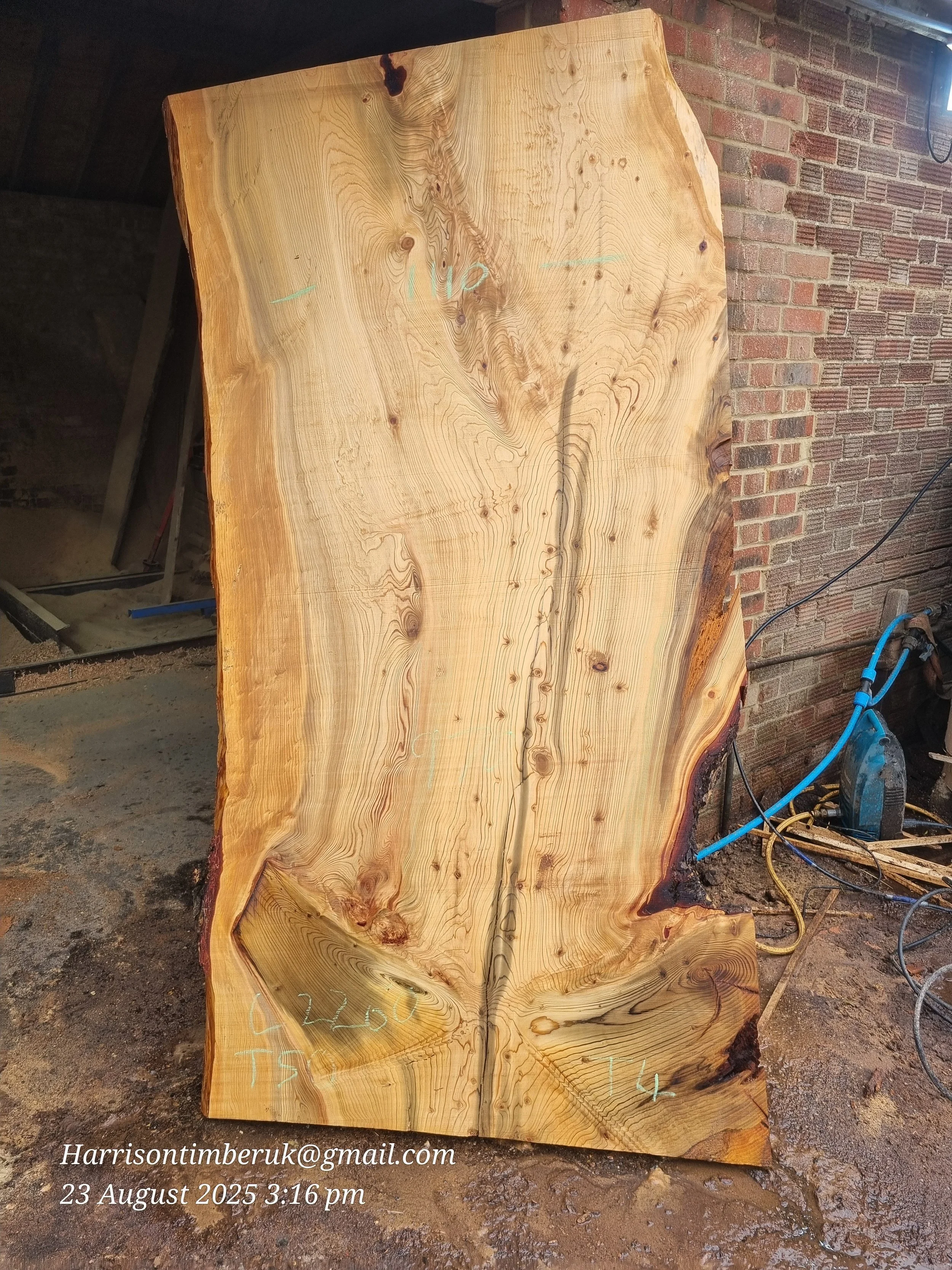 Cedar Slabs 4.jpg